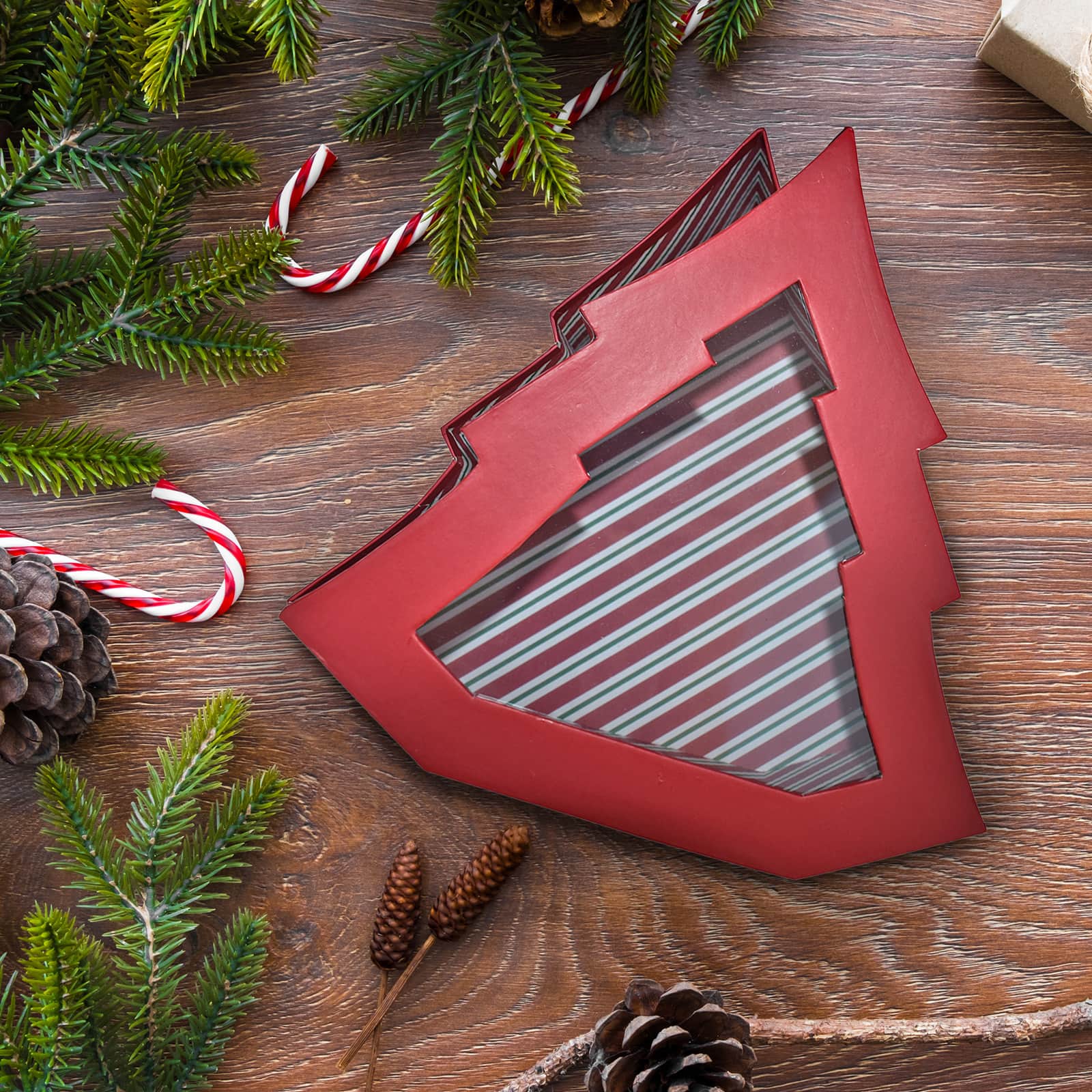 Tree Gift Box by Ashland&#xAE;