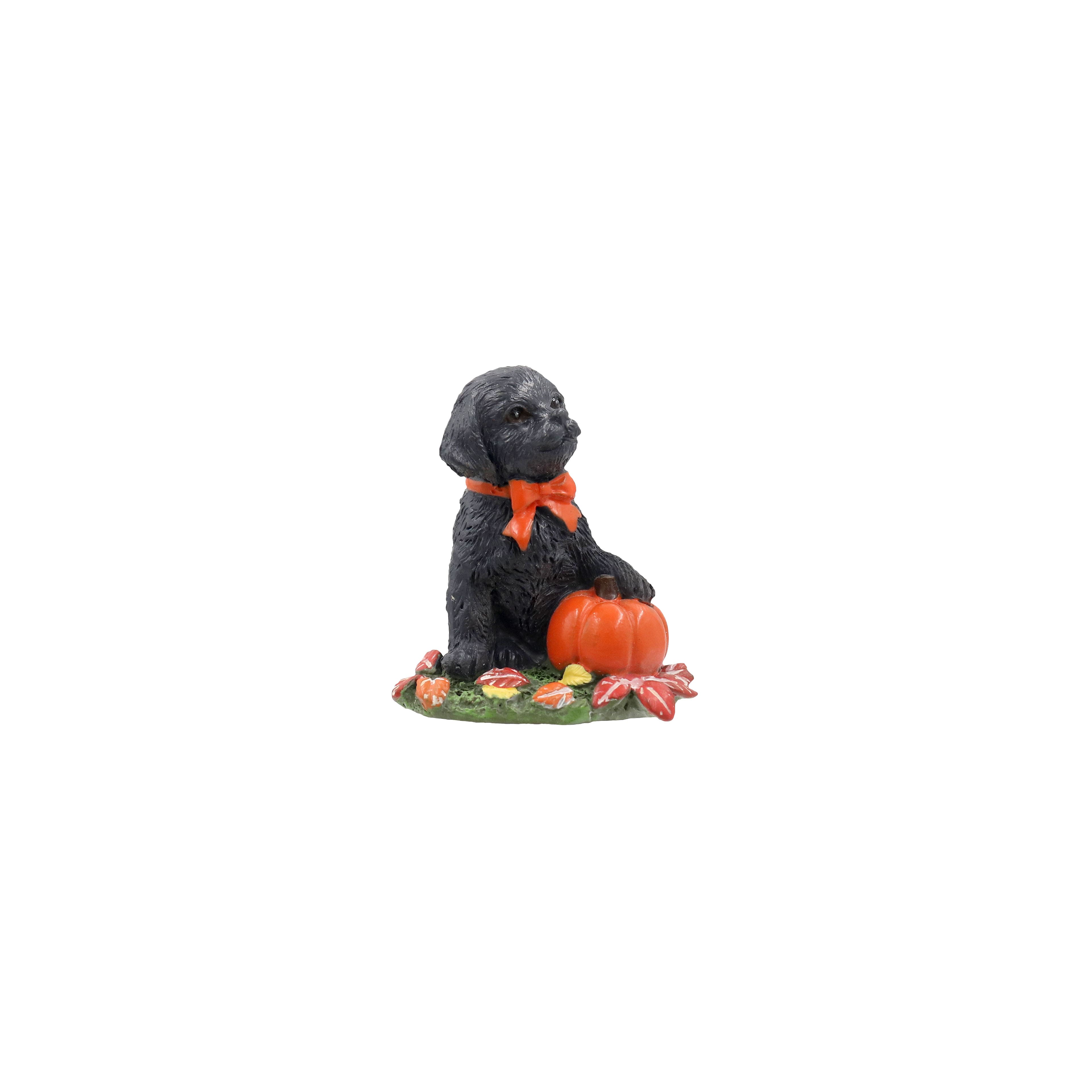 Mini Lab with Pumpkin by Ashland&#xAE;
