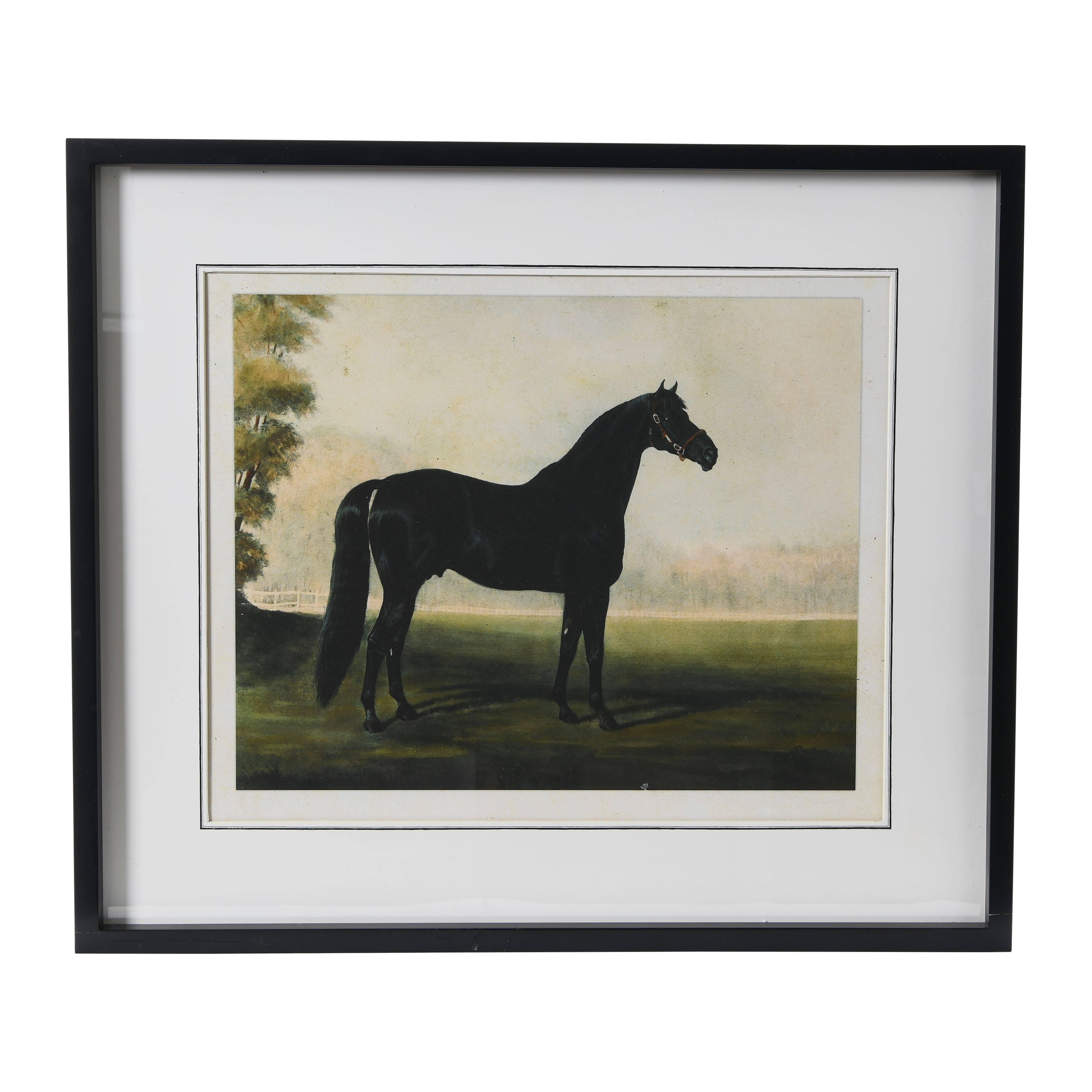 Hello Honey&#xAE; Framed Horse Print Wall Hanging