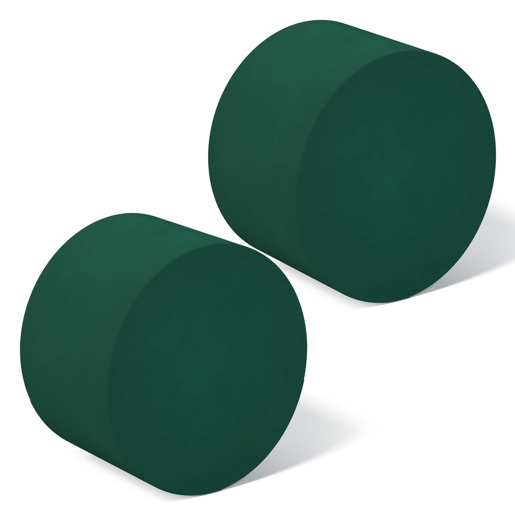 FloraCraft&#xAE; 1.75&#x22; x 2.75&#x22; Green Artesia WetF&#x14D;M&#xAE; Discs, 2ct.