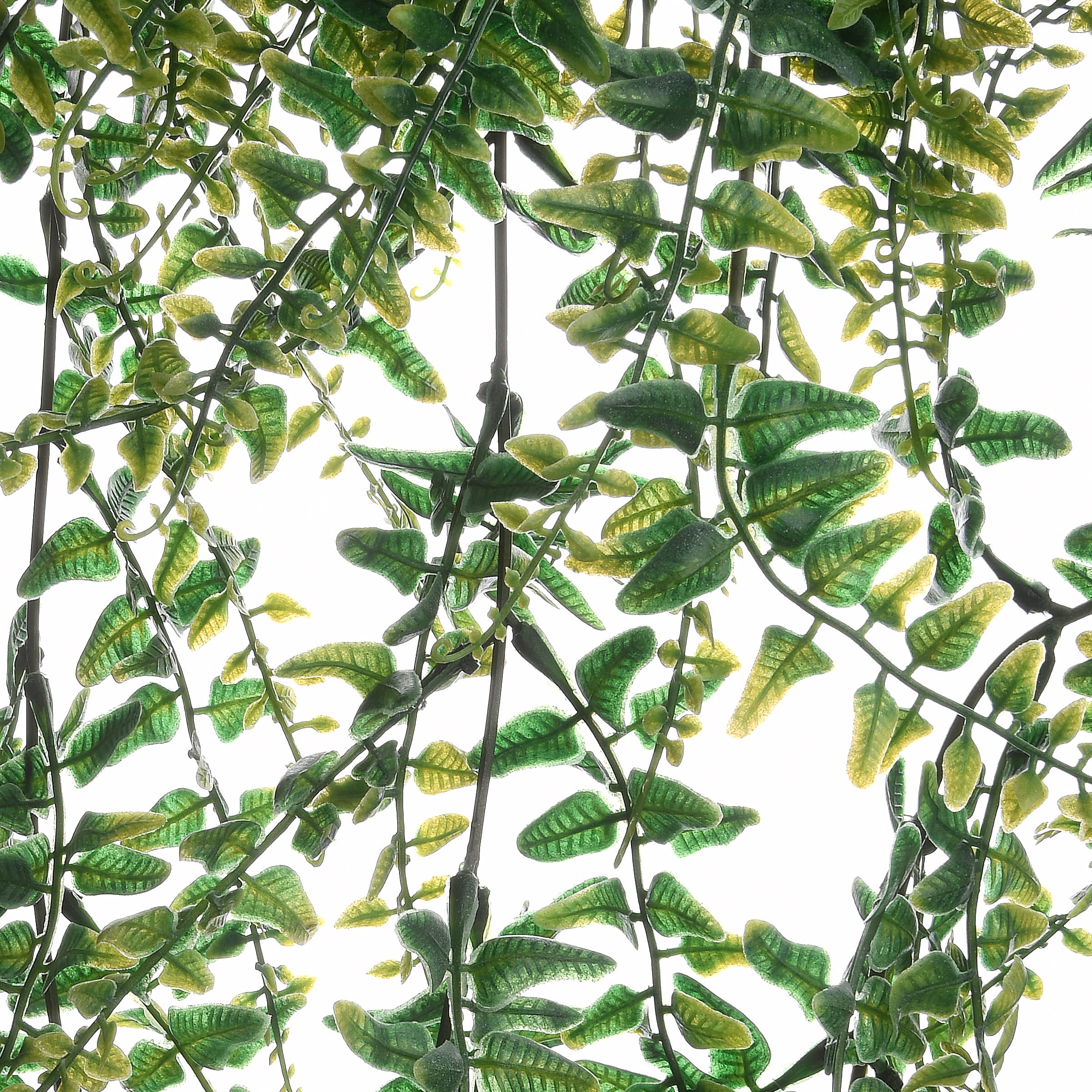 21" Fern Leaves Hanging Basket