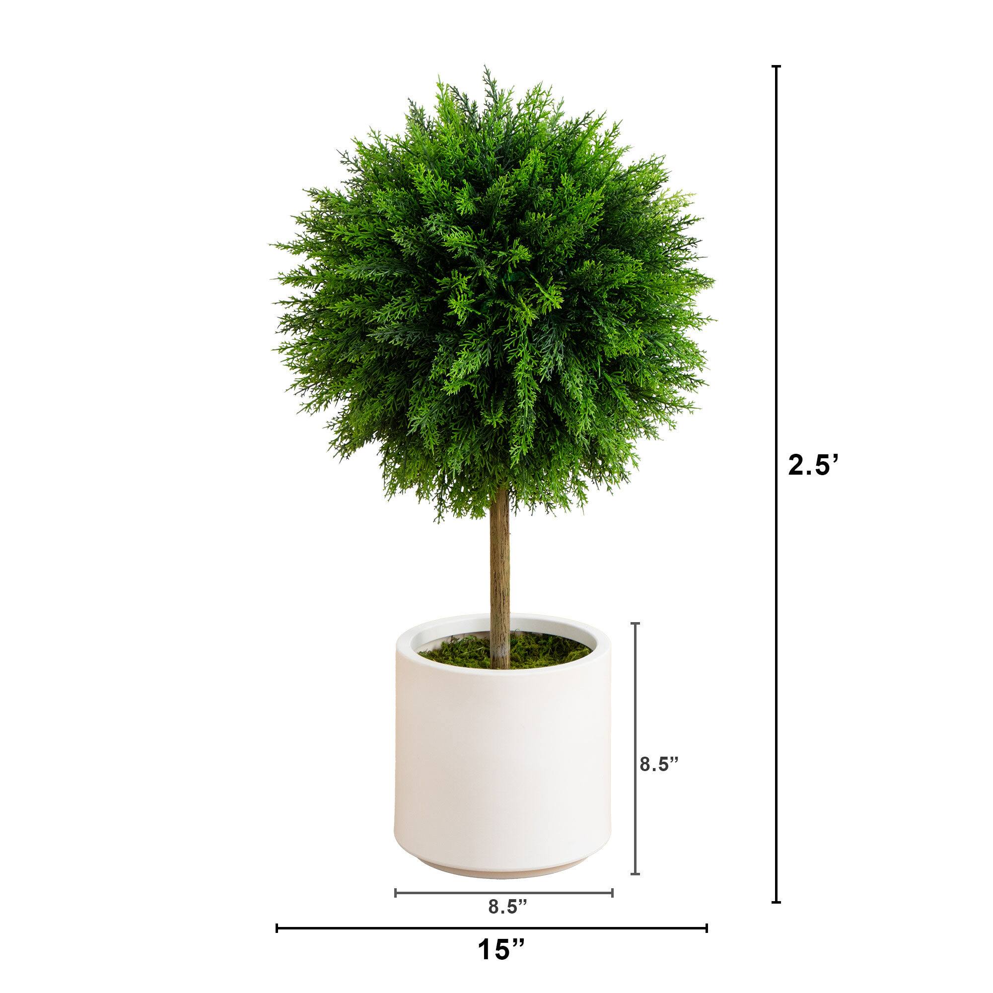 2.5ft. UV-Resistant Artificial Cedar Ball Topiary Tree in White Decorative Planter