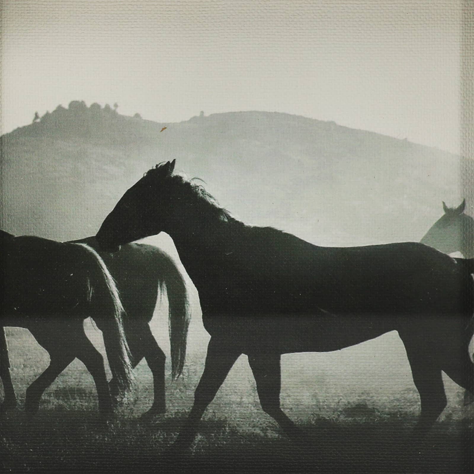 8.75&#x22; Horses Block Tabletop D&#xE9;cor by Ashland&#xAE;