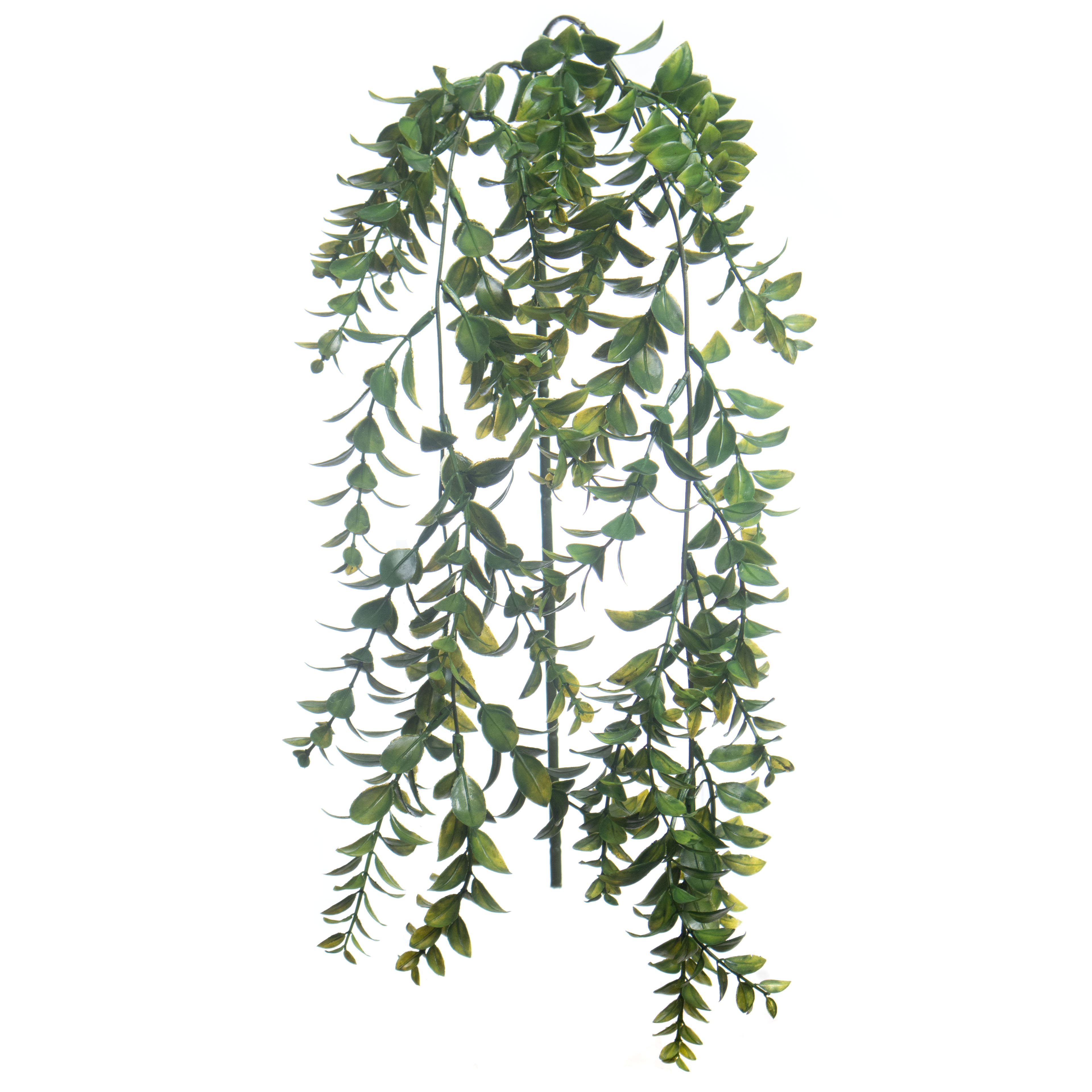 22&#x22; Hanging Green Boxwood Stem by Ashland&#xAE;