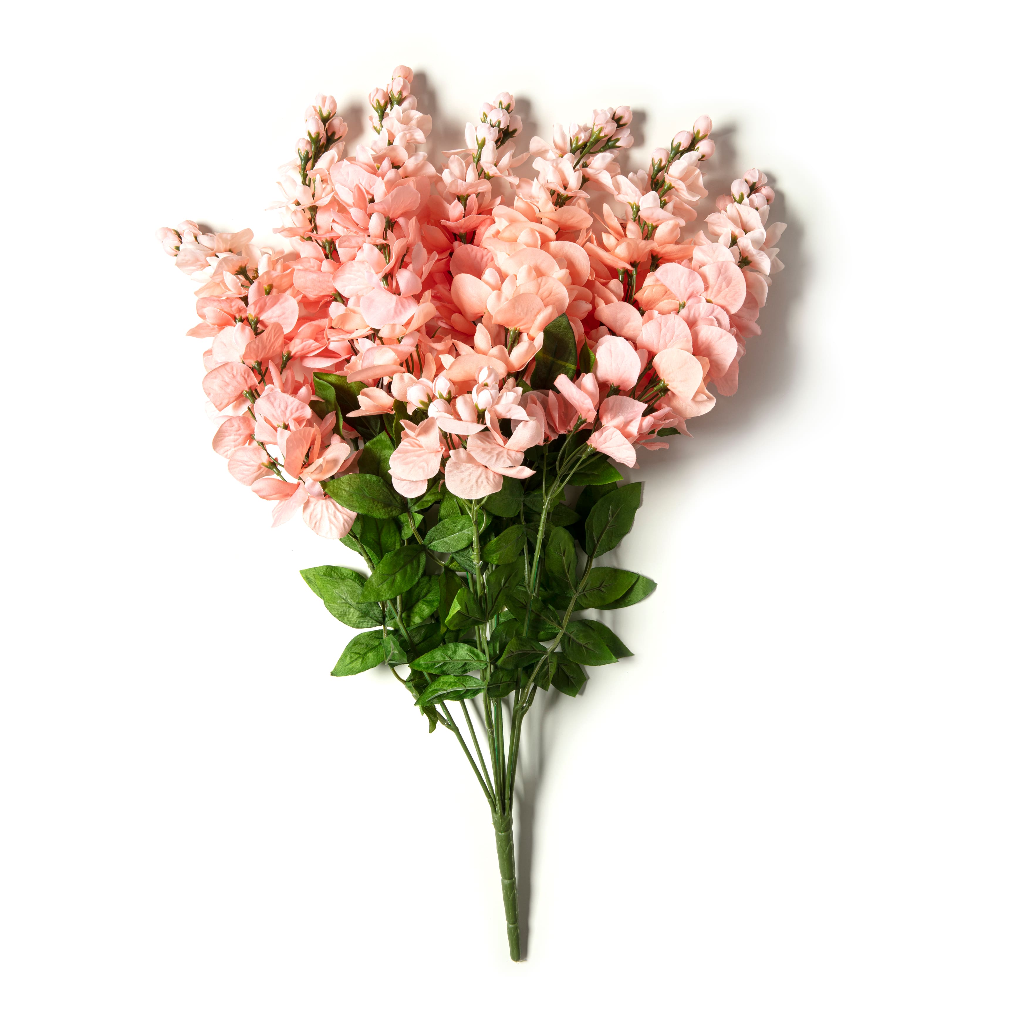 Coral Wisteria Bush by Ashland®