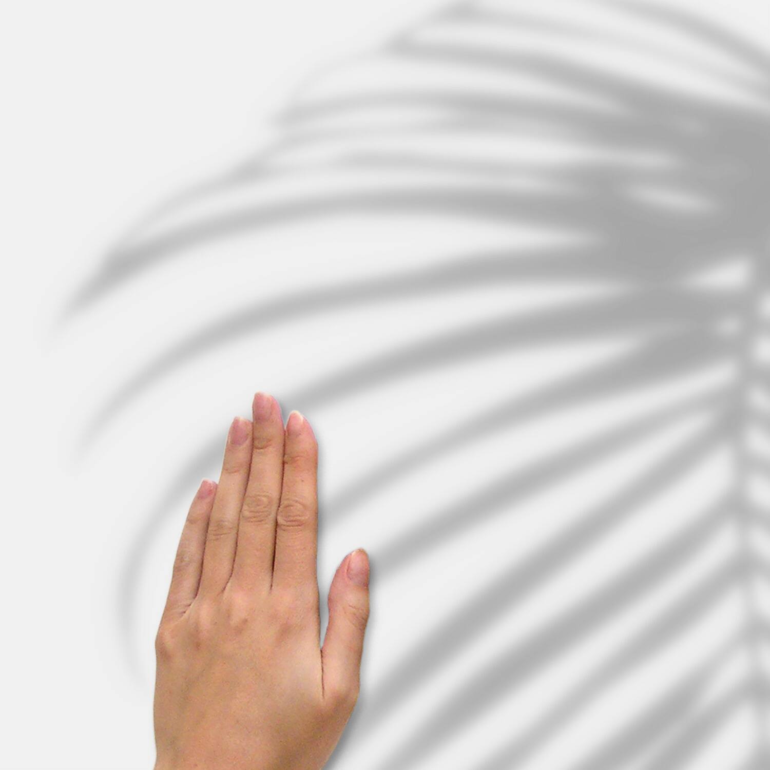 RoomMates Mr. Kate Tropical Shadow Palm Frond Peel &#x26; Stick Wall Decals