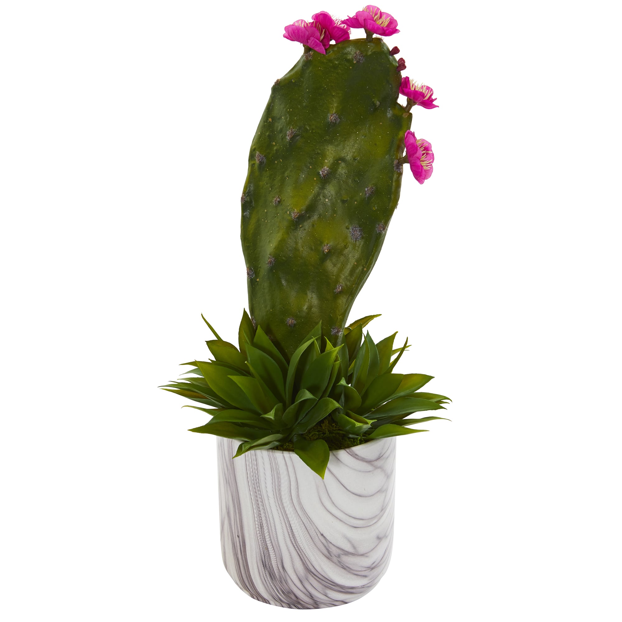 17" Cactus & Agave Succulent Plant in Marble Planter