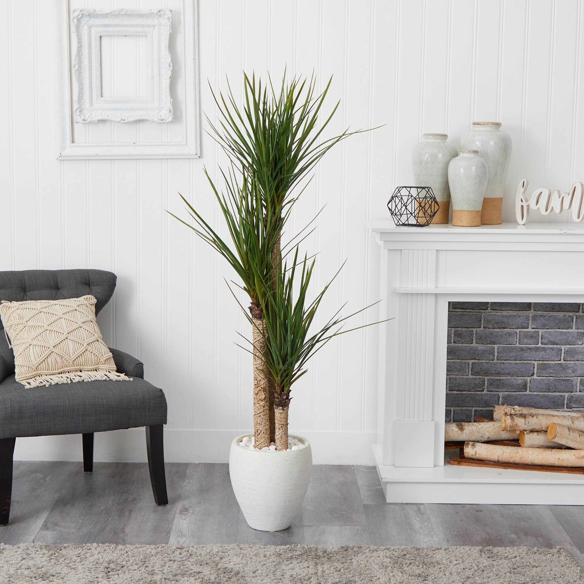 5.5ft. Yucca Tree with White Planter