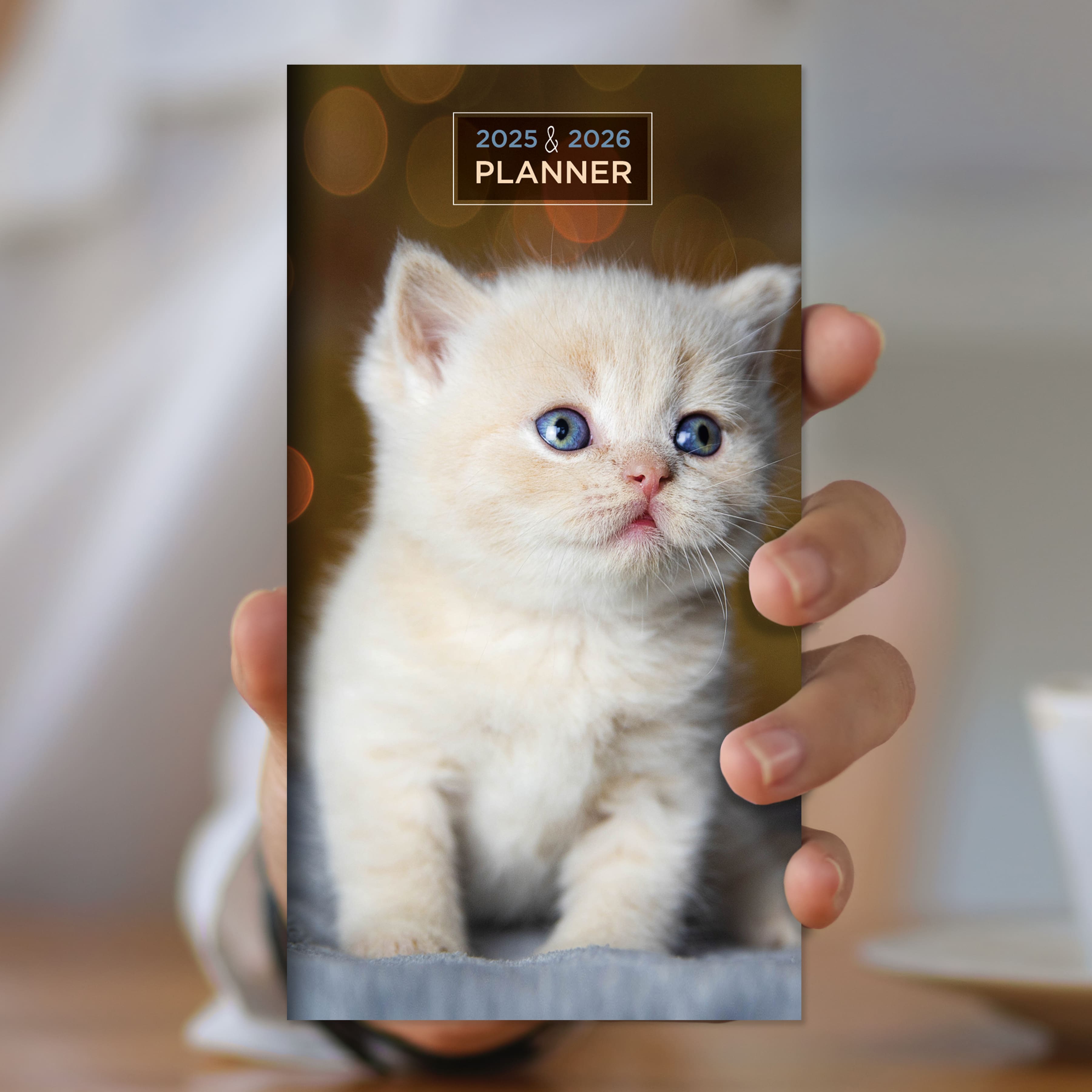 TF Publishing 2025-2026 Small Kitten Monthly Pocket Planner