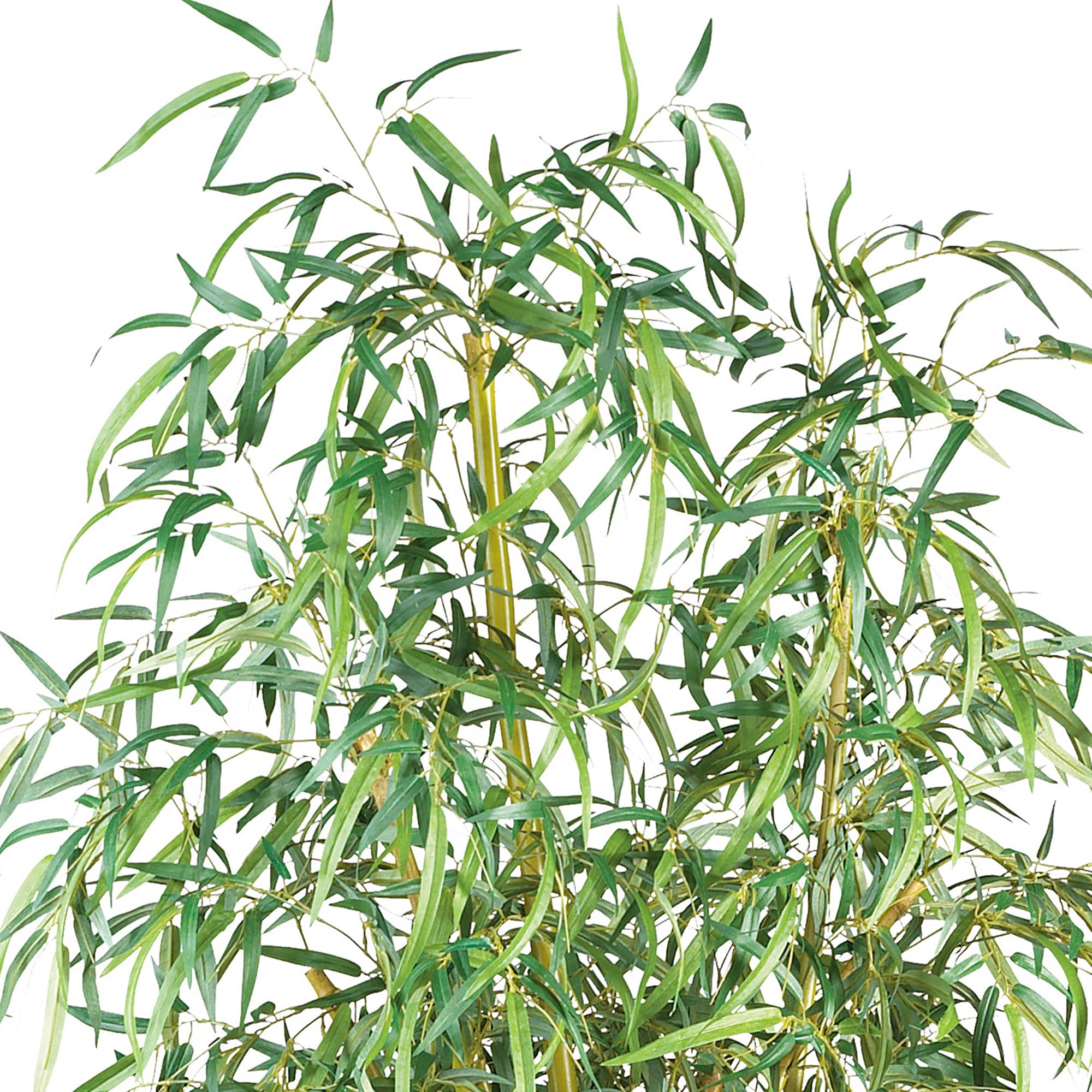 7ft. Potted Curved Slim Bamboo Silk Tree