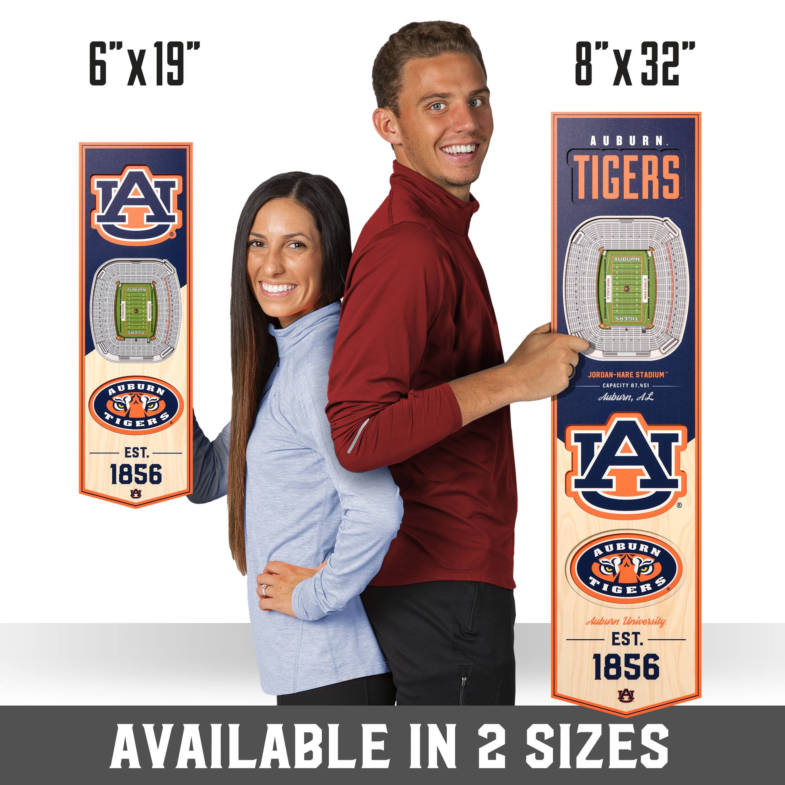 College 3D StadiumView Banner