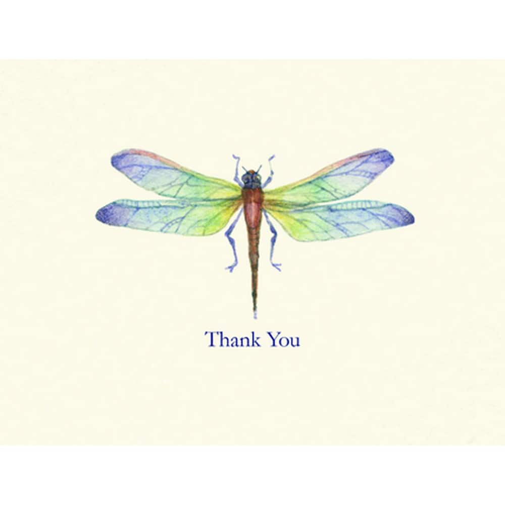 JAM Paper Dragonfly Everyday Thank You Card Set, 20ct. | Thank You ...