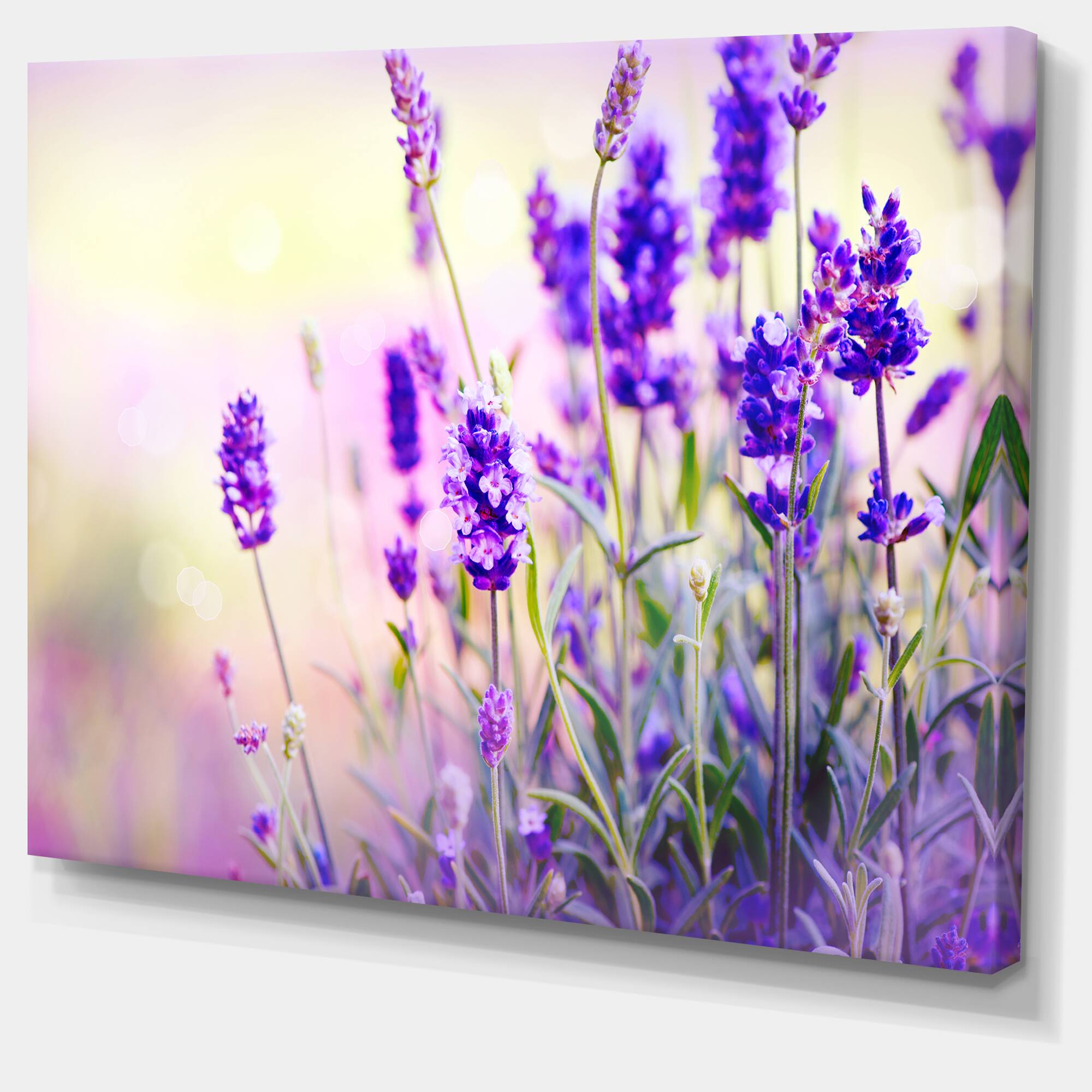 Designart - Purple Lavender Field - Floral Photography Canvas Art Print