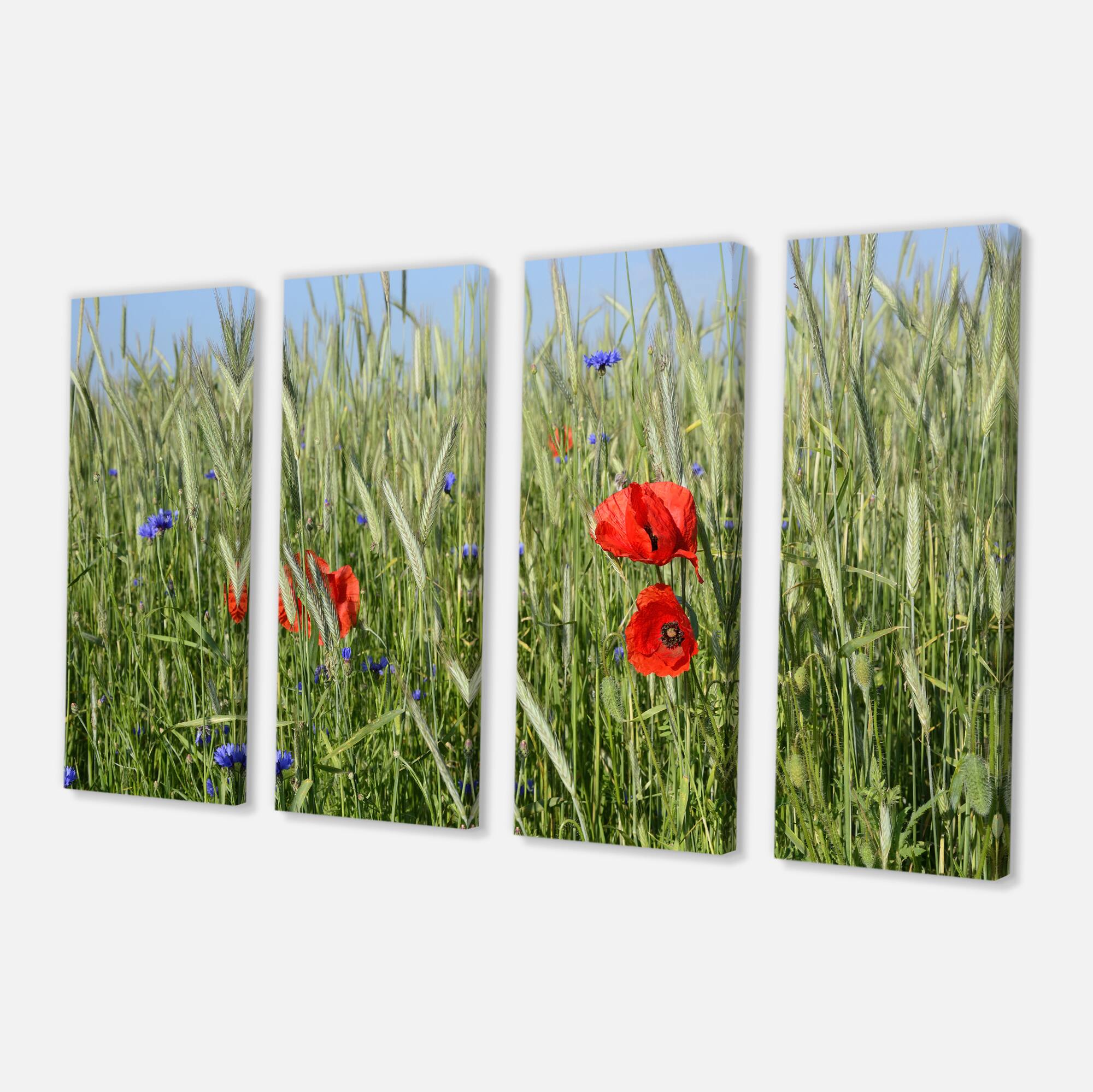Designart - Rural Landscape with Red Poppies - Large Landscape Canvas Art