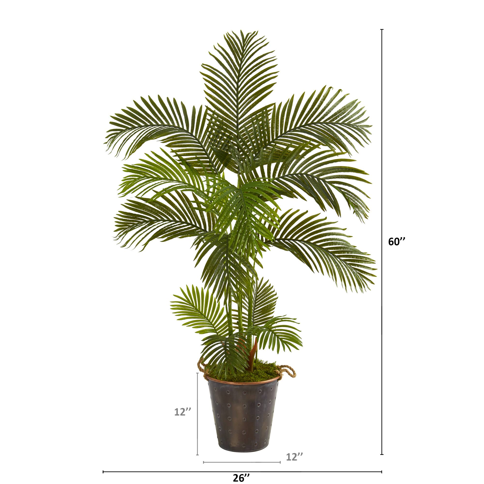 5ft. Areca Palm Tree in Decorative Metal Pail