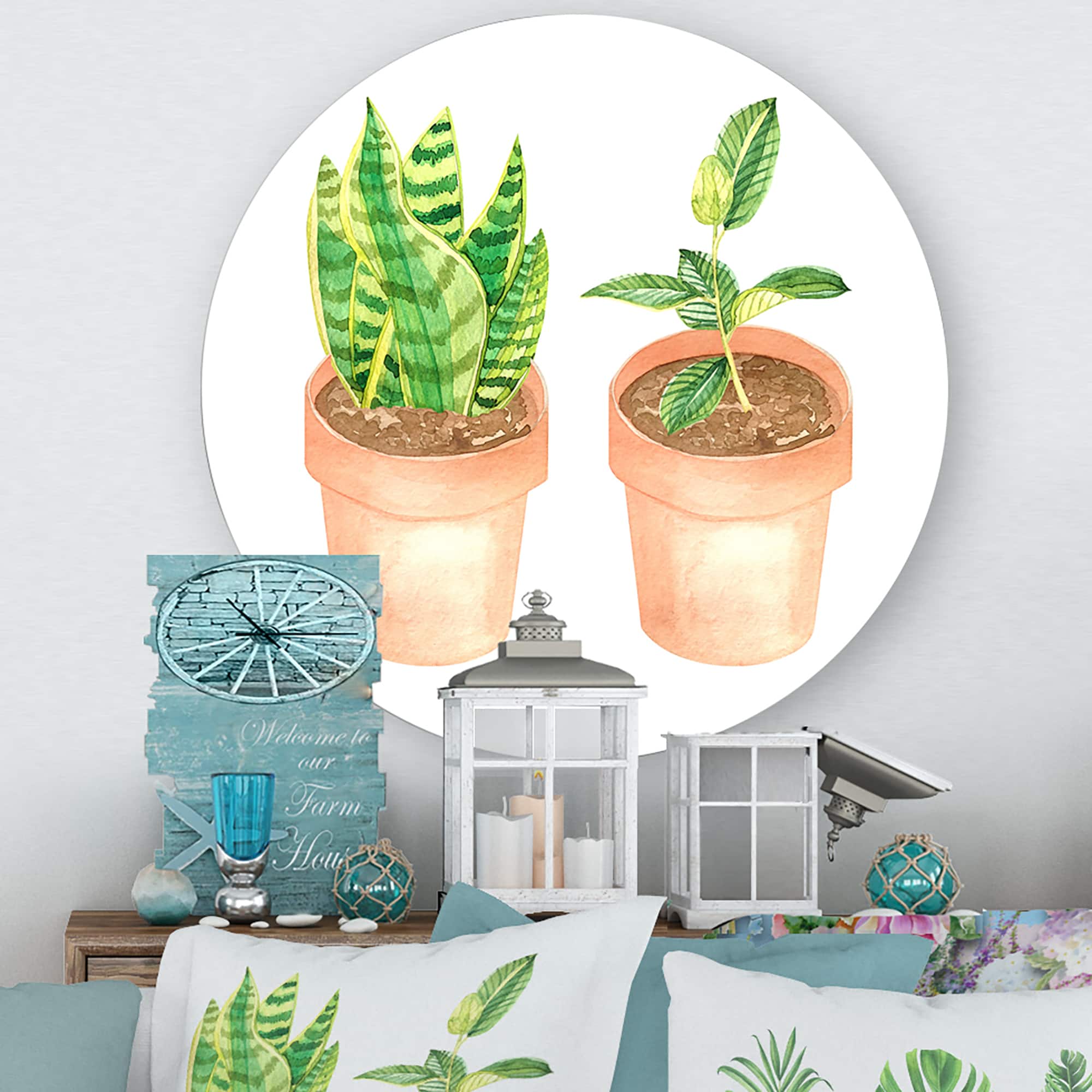 Designart - Sansevieria & Ficus Indoor Green Home House Plants