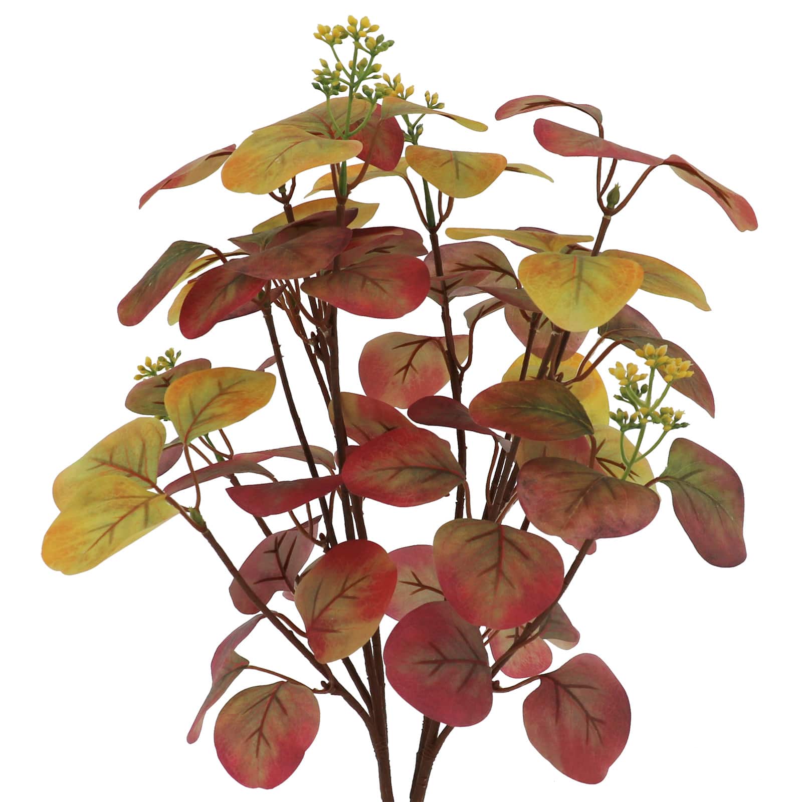 20" Silver Dollar Eucalyptus Bush by Ashland®