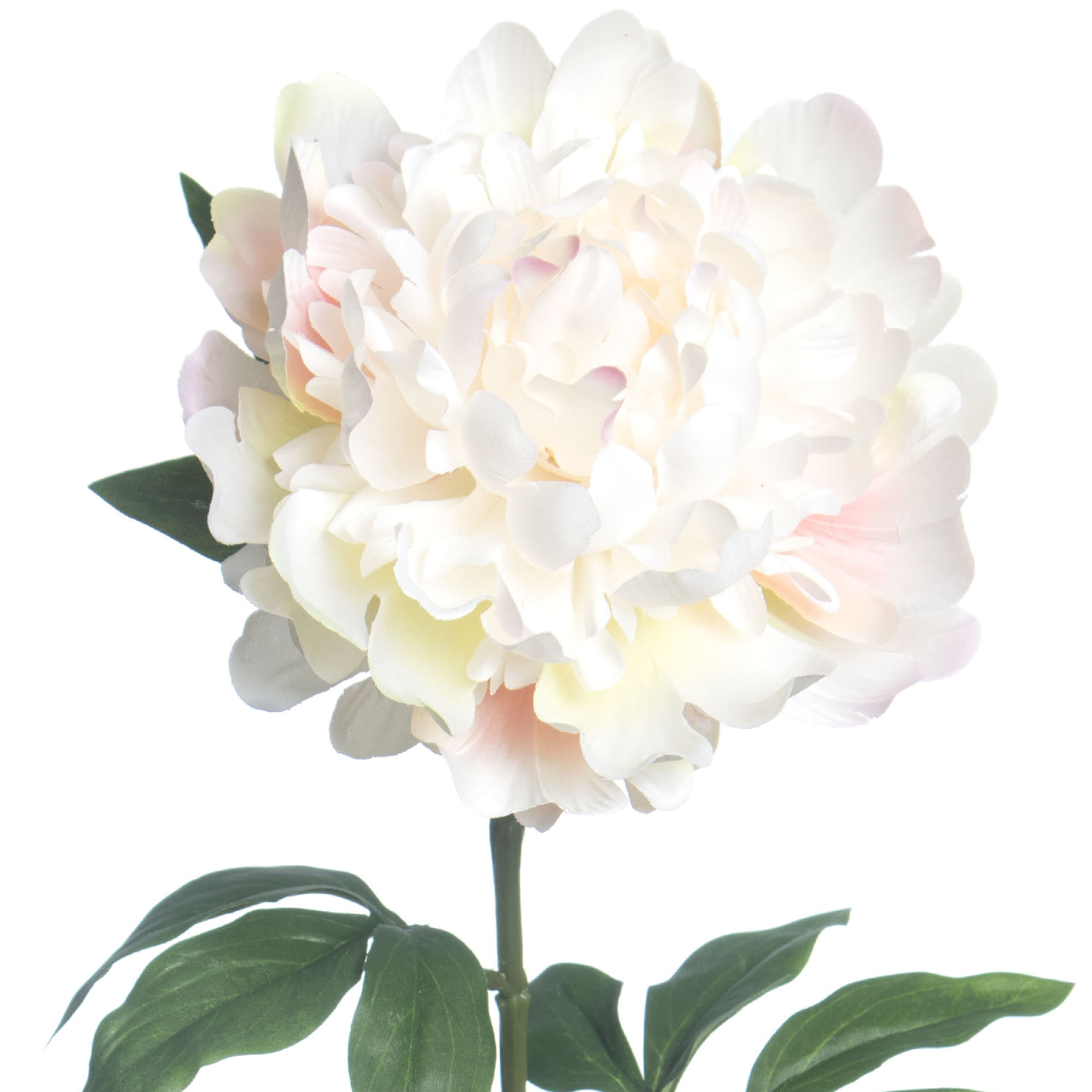 29.5&#x22; Cream &#x26; Pink Peony Stem by Ashland&#xAE;
