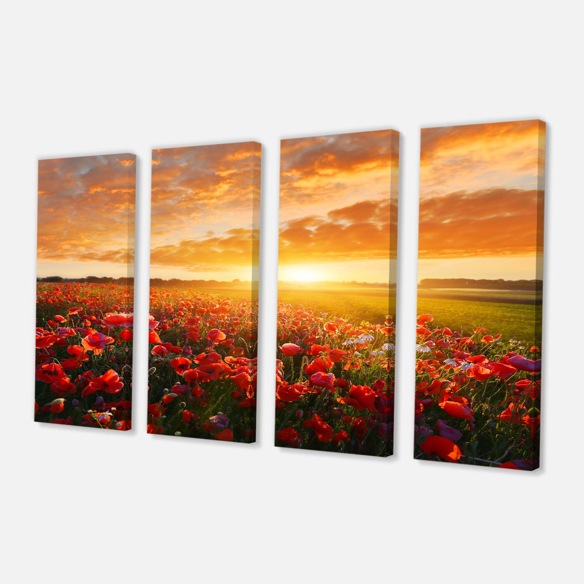 Designart - Beautiful Poppy Field at Sunset
