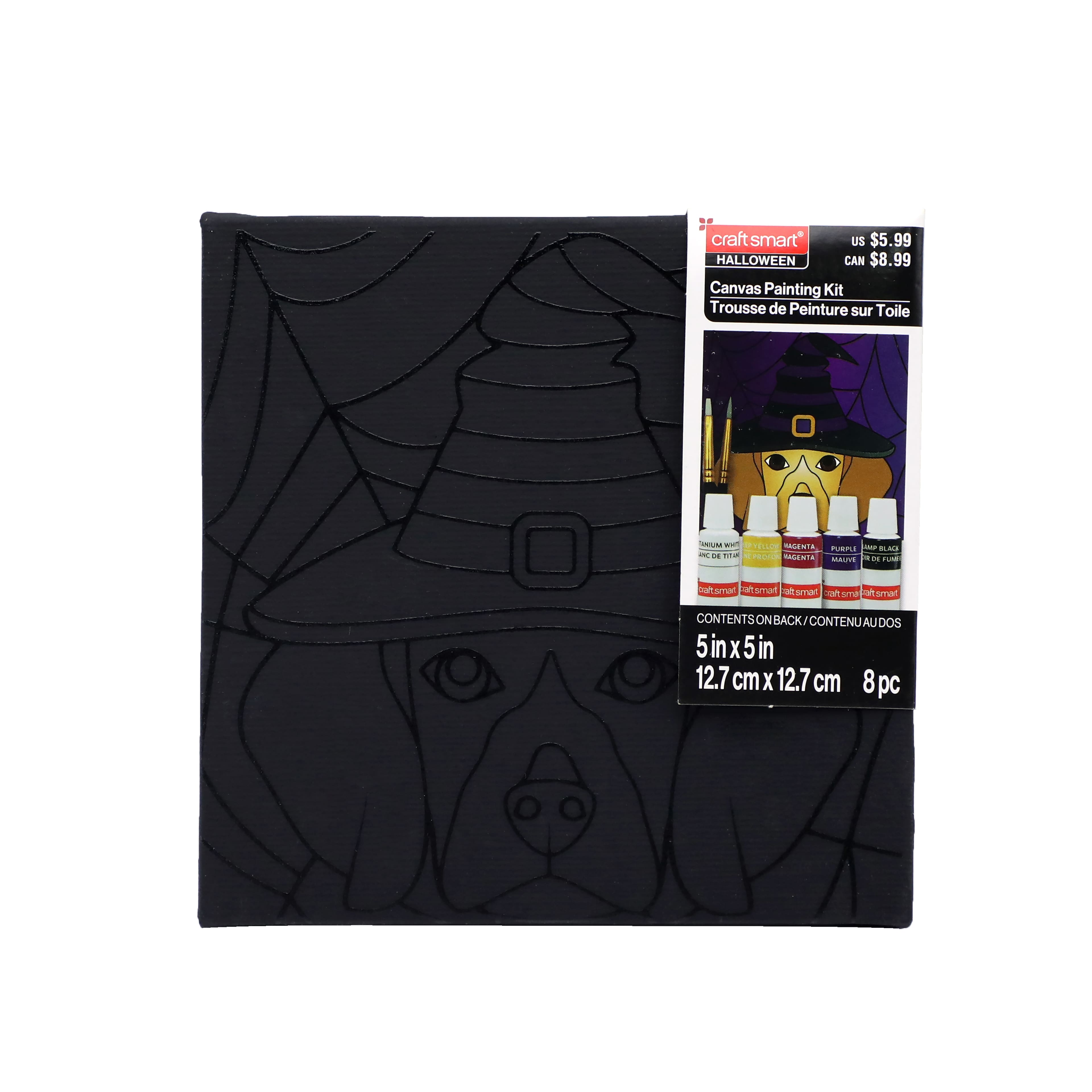 5" x 5" Witch Dog in Web Canvas Painting Kit by Craft Smart®