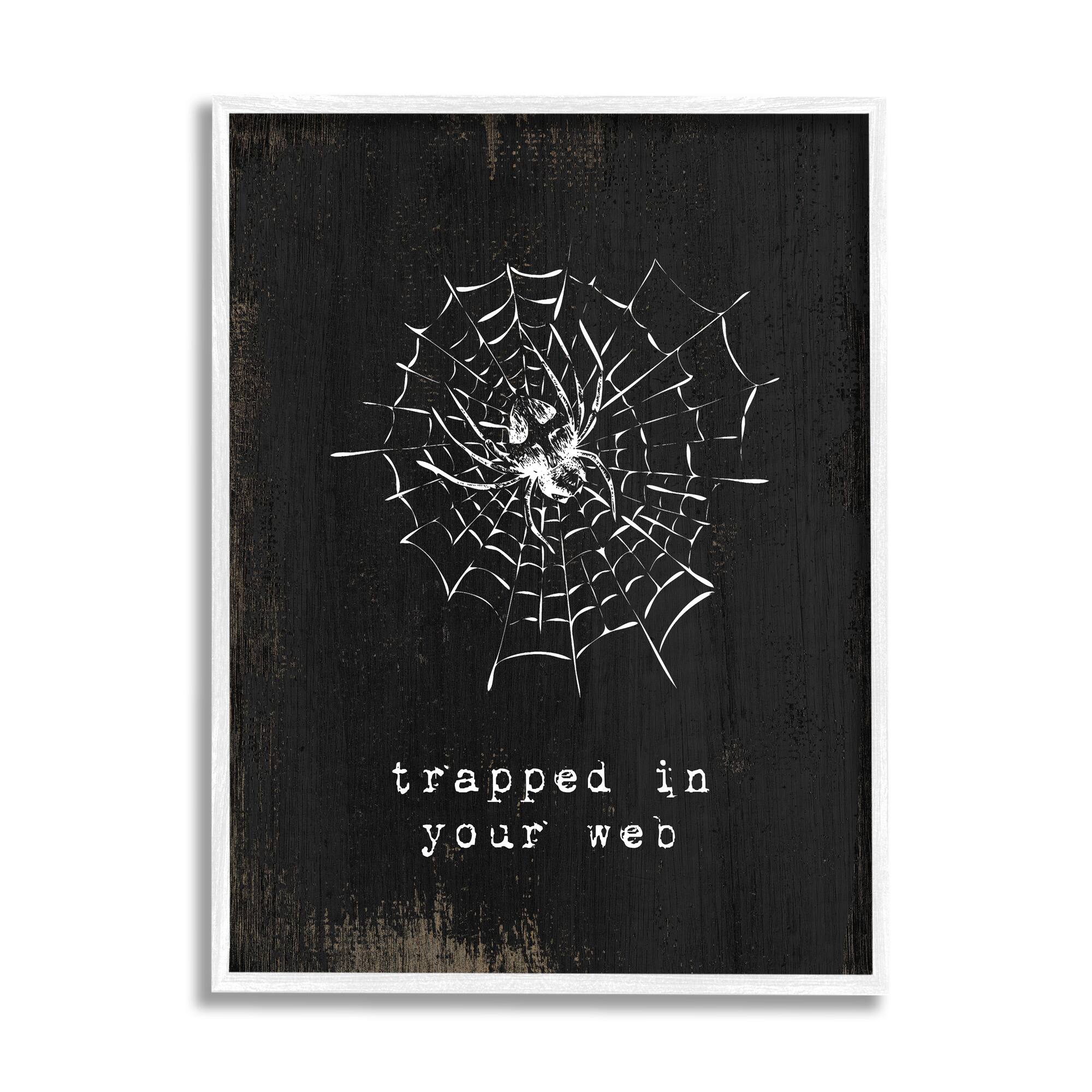 Stupell Industries Trapped In Your Web Spider Framed Giclee Art