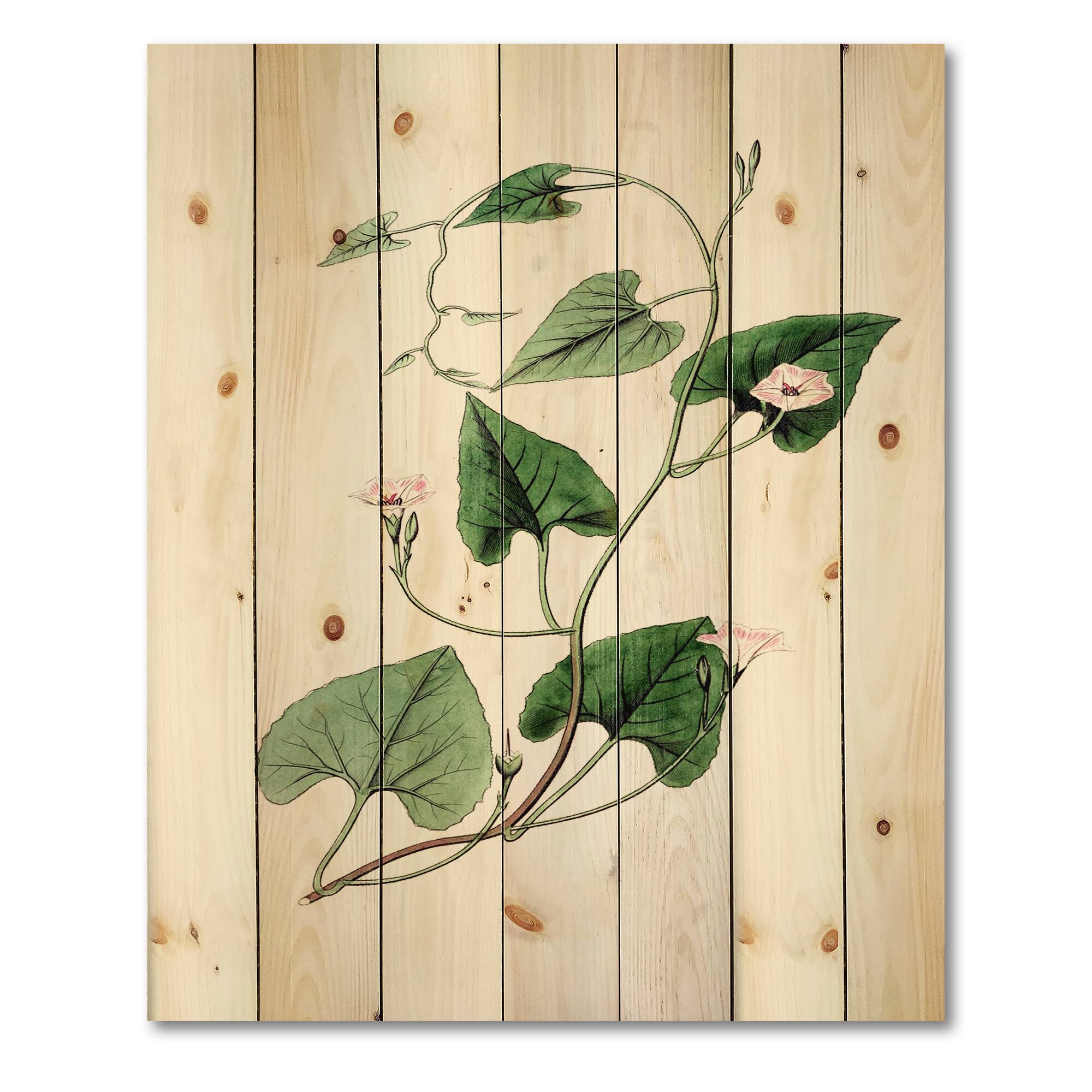 Designart - Vintage Green Leaves Plants IX - Traditional Print on Natural Pine Wood