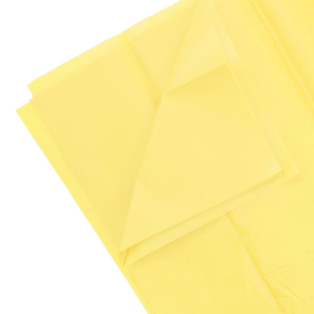 JAM Paper 20" x 26" Tissue Paper, 2 Packs of 10 Sheets