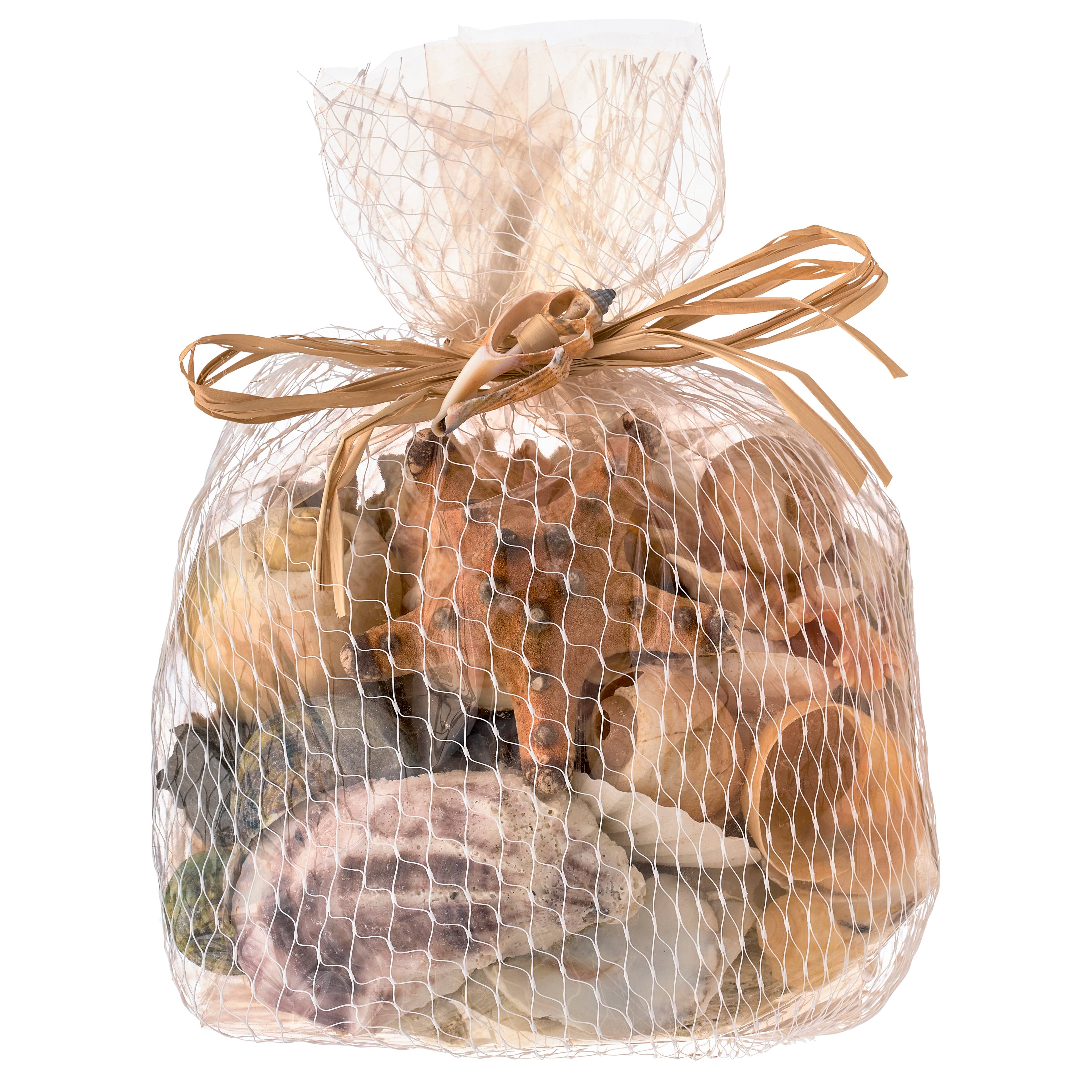 12 Pack: U.S. Shell Dark Shell Mix with Starfish Gift Pack