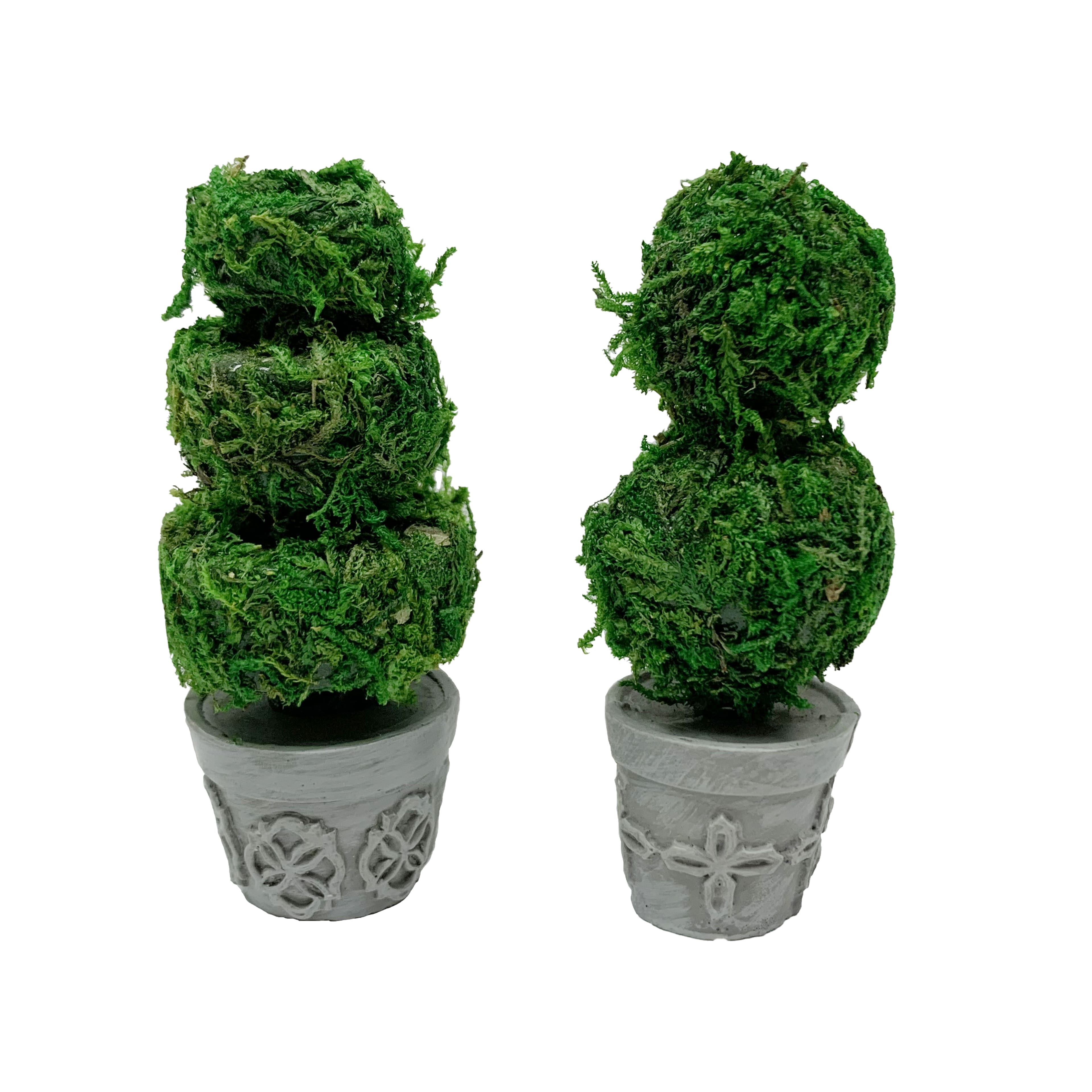 Assorted Mini Moss Topiary Plant by Ashland&#xAE;, 1pc.