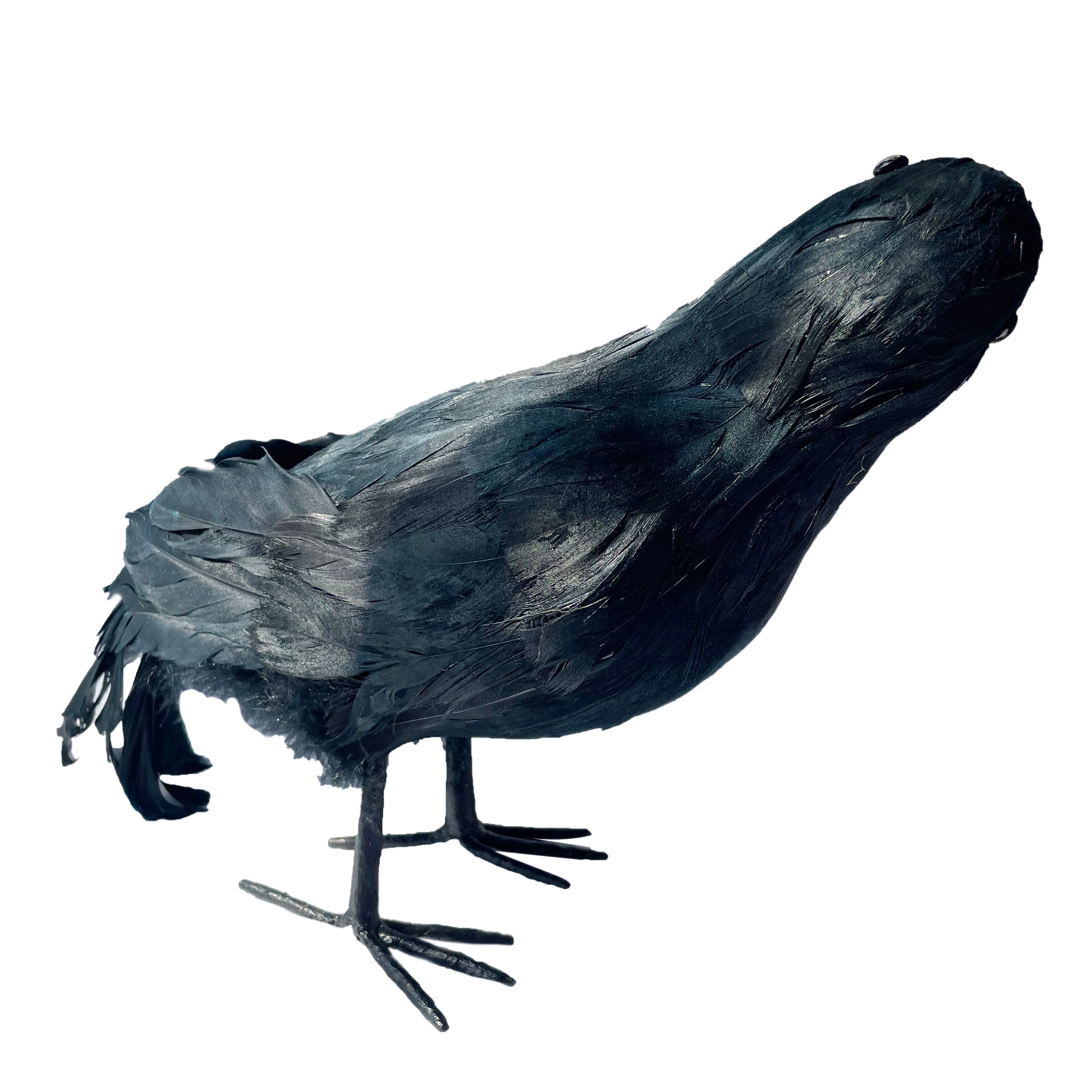 7.5&#x22; Iridescent Black Crow by Ashland&#xAE;