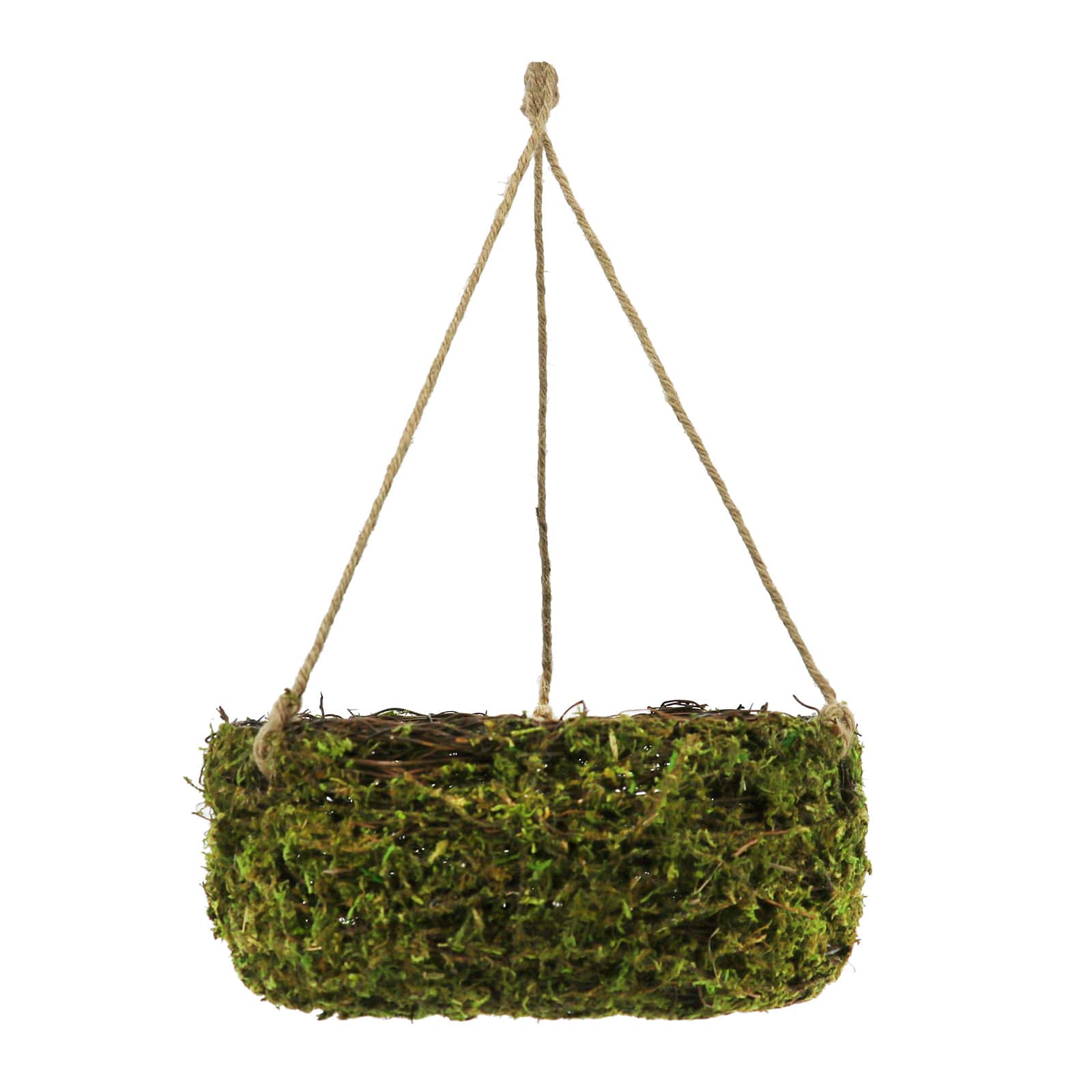 8&#x22; Moss Hanging Basket by Ashland&#xAE;