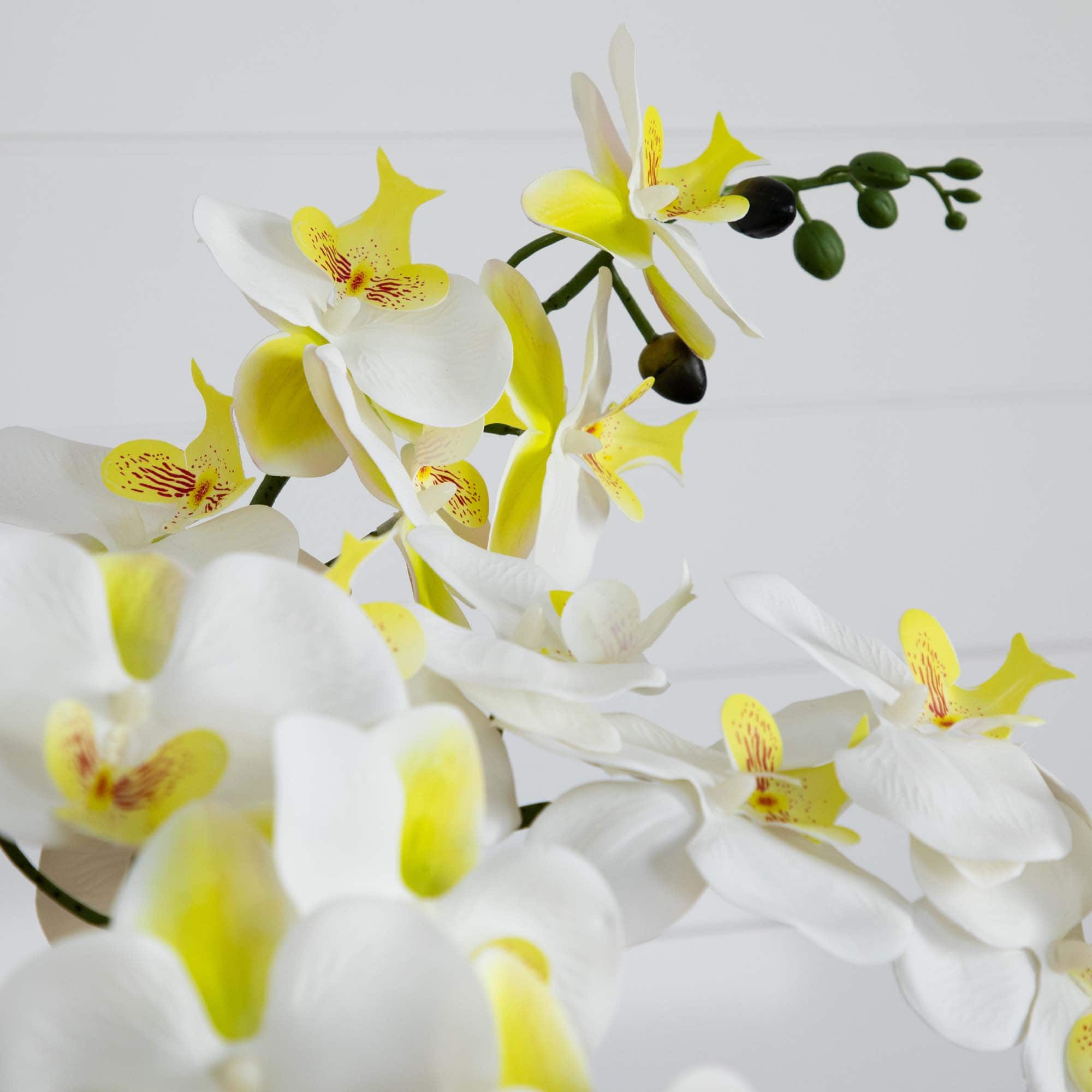 23" Orchid Arrangement in White Ceramic Planter