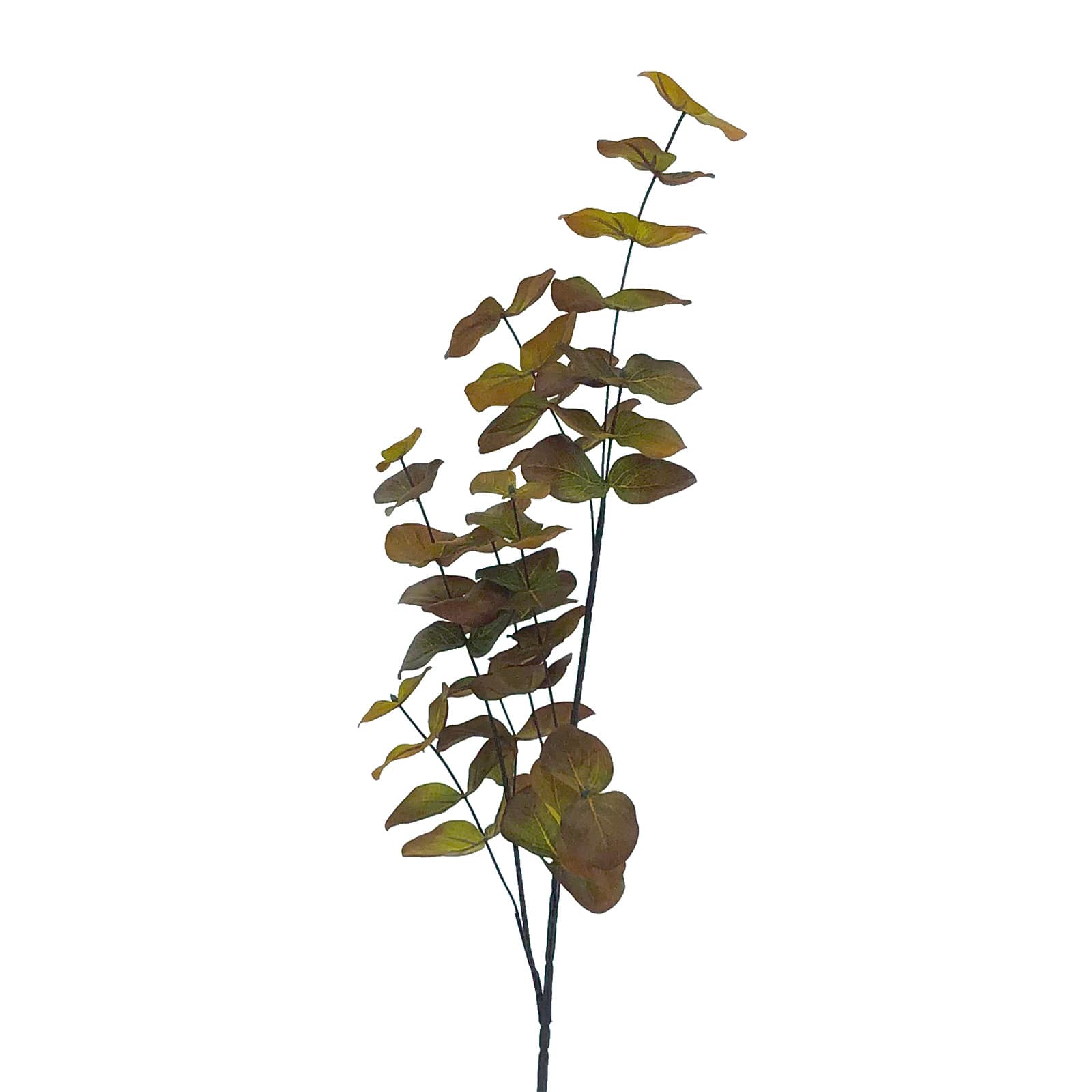 36&#x22; Orange Eucalyptus Stem by Ashland&#xAE;