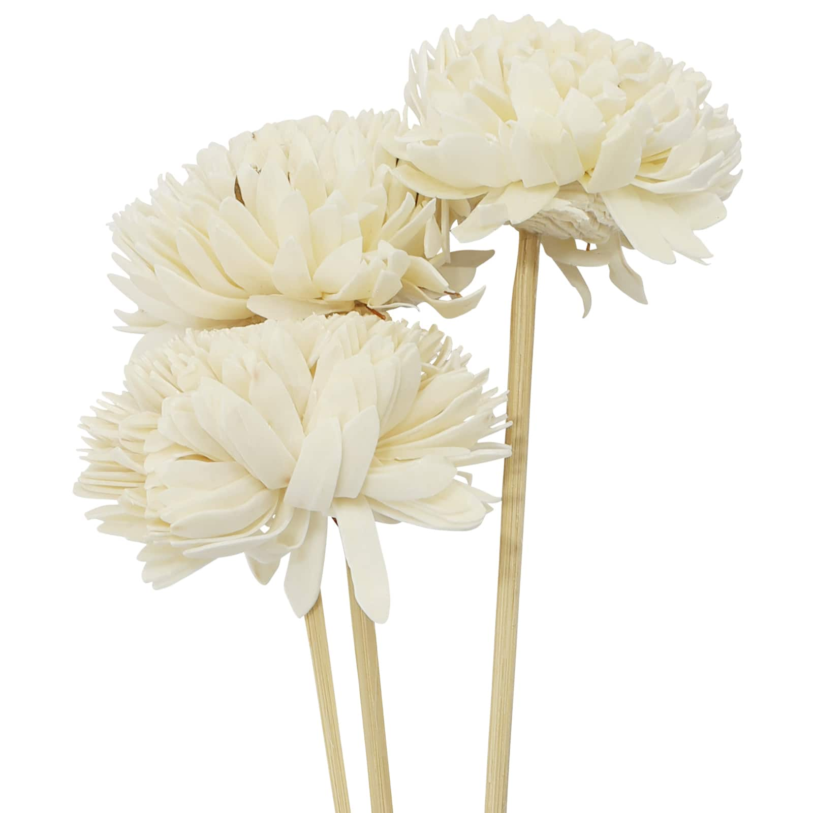 20&#x22; Natural Jasmine Sola Flowers by Ashland&#xAE;, 3ct.