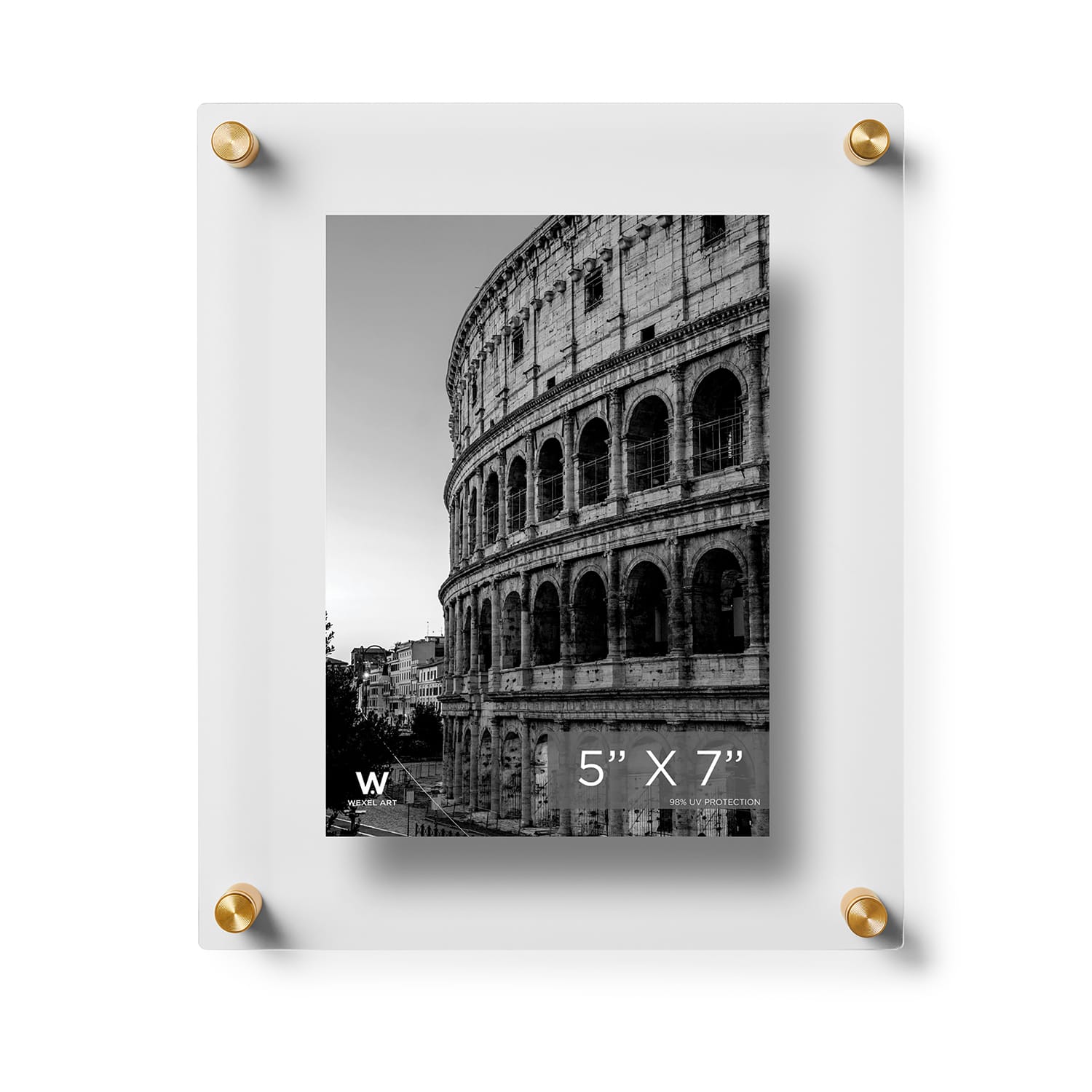 Wexel Art Double Panel Clear Acrylic Floating Wall Frame with Gold Hardware