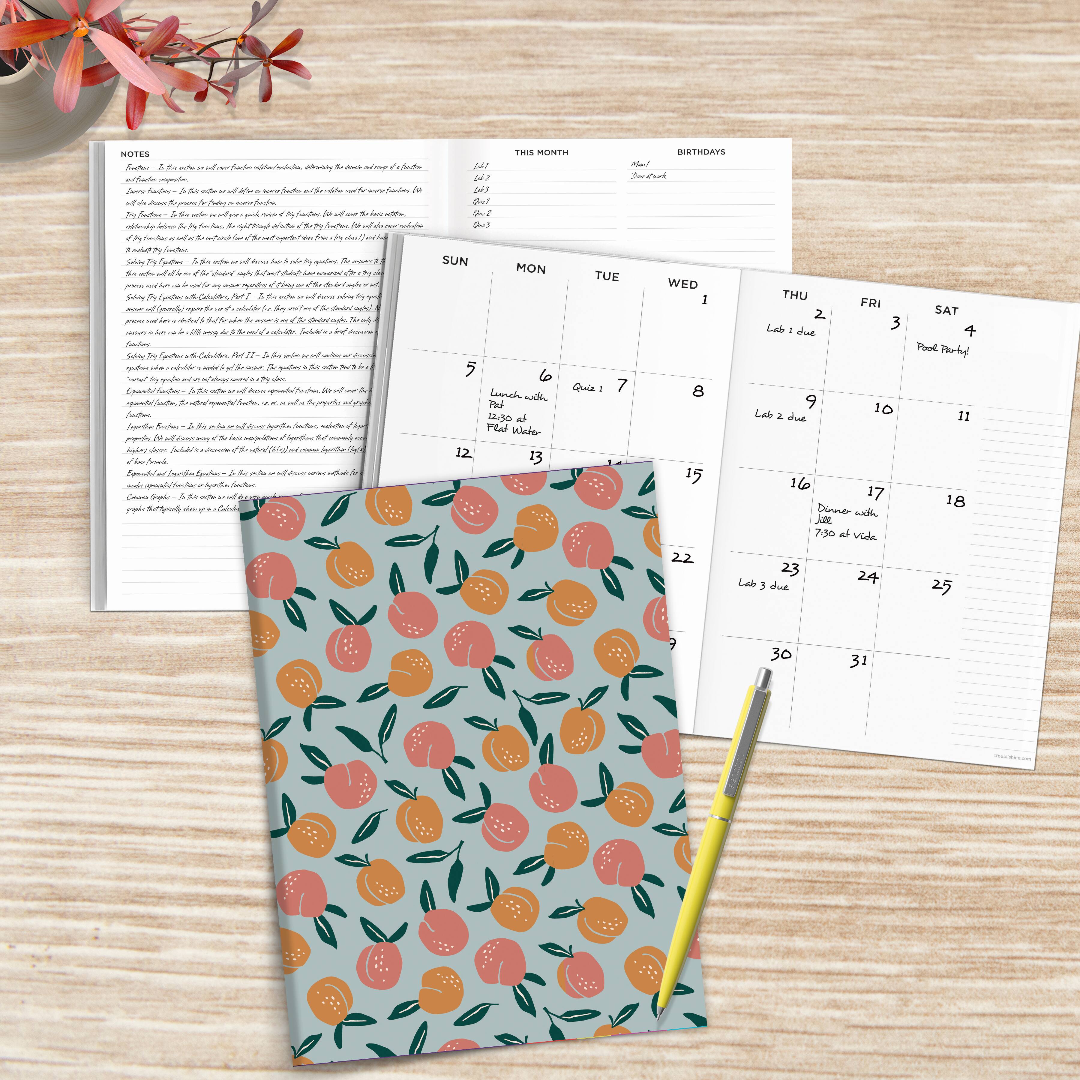 TF Publishing Medium Delicate Peach Boho Undated Monthly Planner