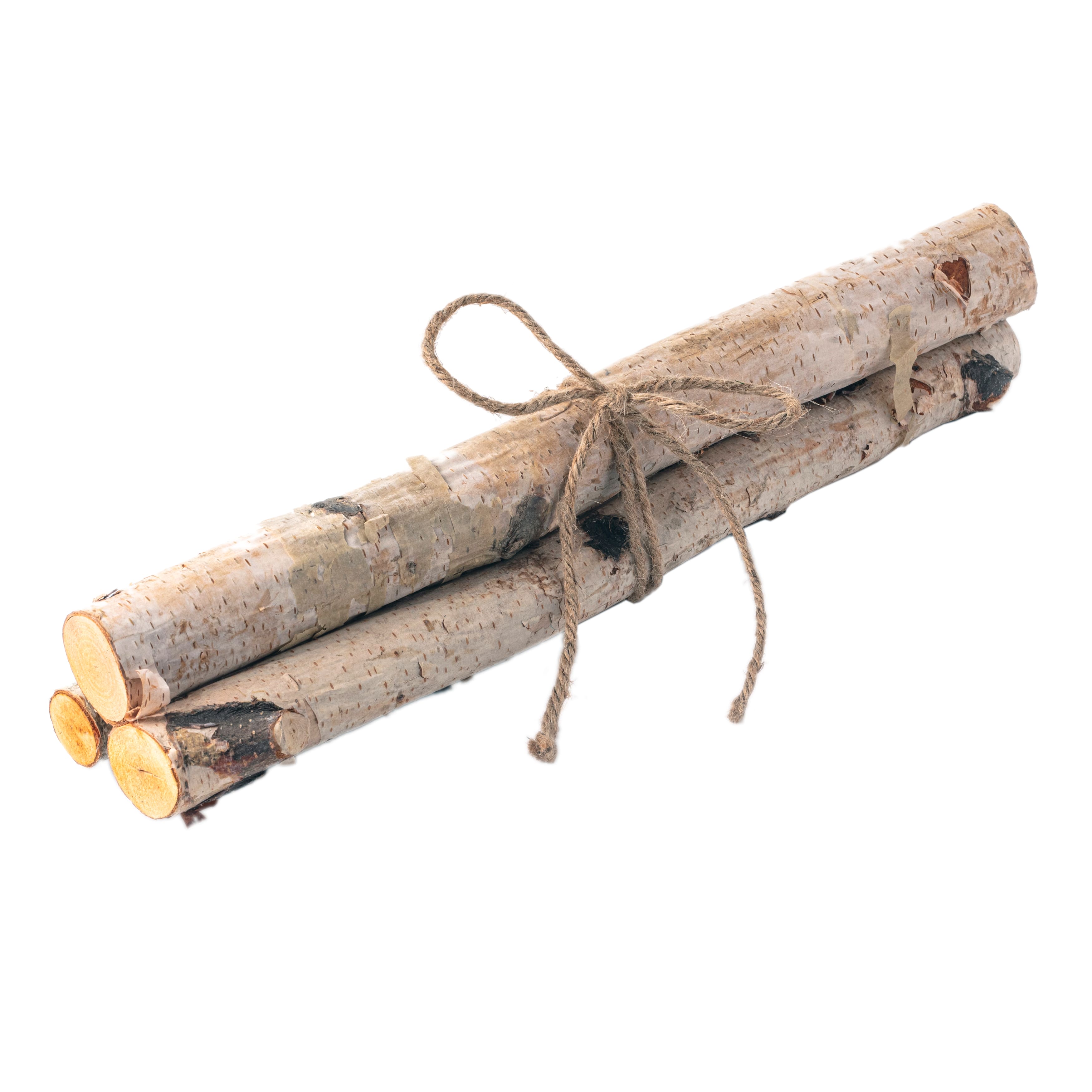 6 Pack: Birch Log Bundle by Ashland&#xAE;