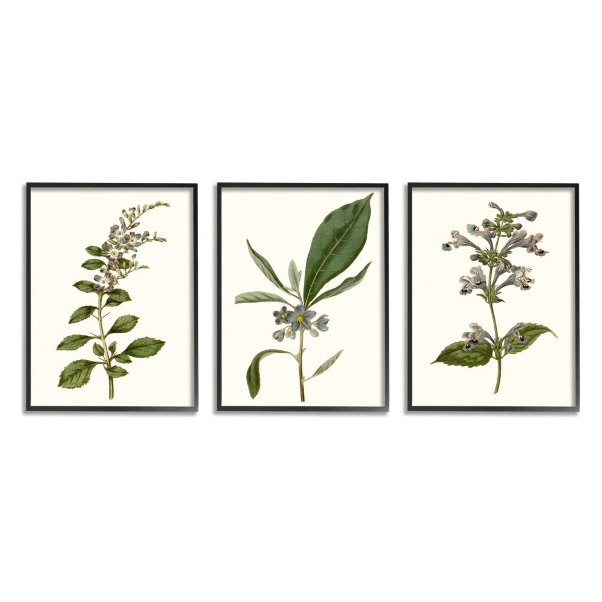 Stupell Industries Minimal Blue Botanical Study Over Neutral Beige in Frame Wall Art