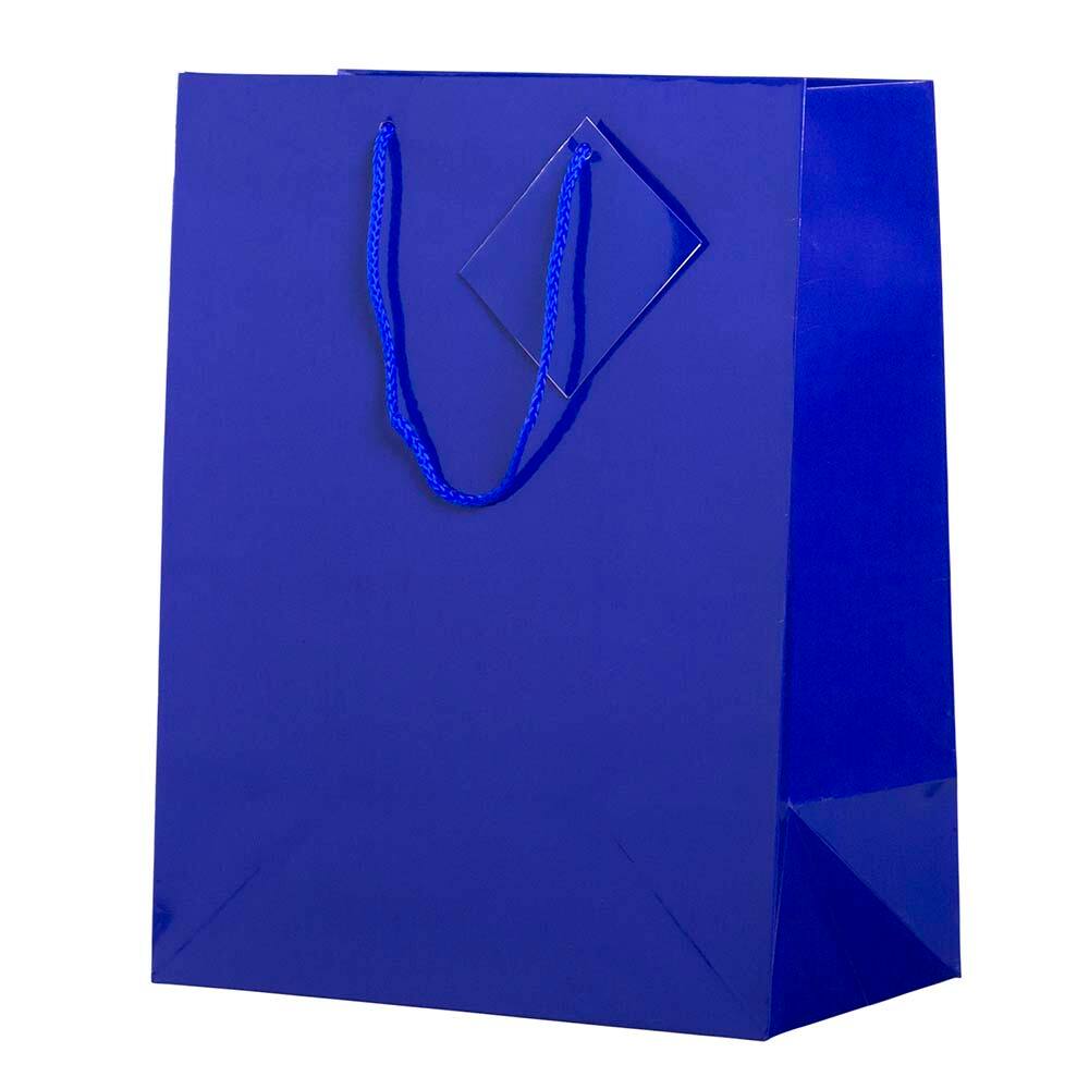 JAM Paper Large Glossy Gift Bags with Rope Handles, 3ct.