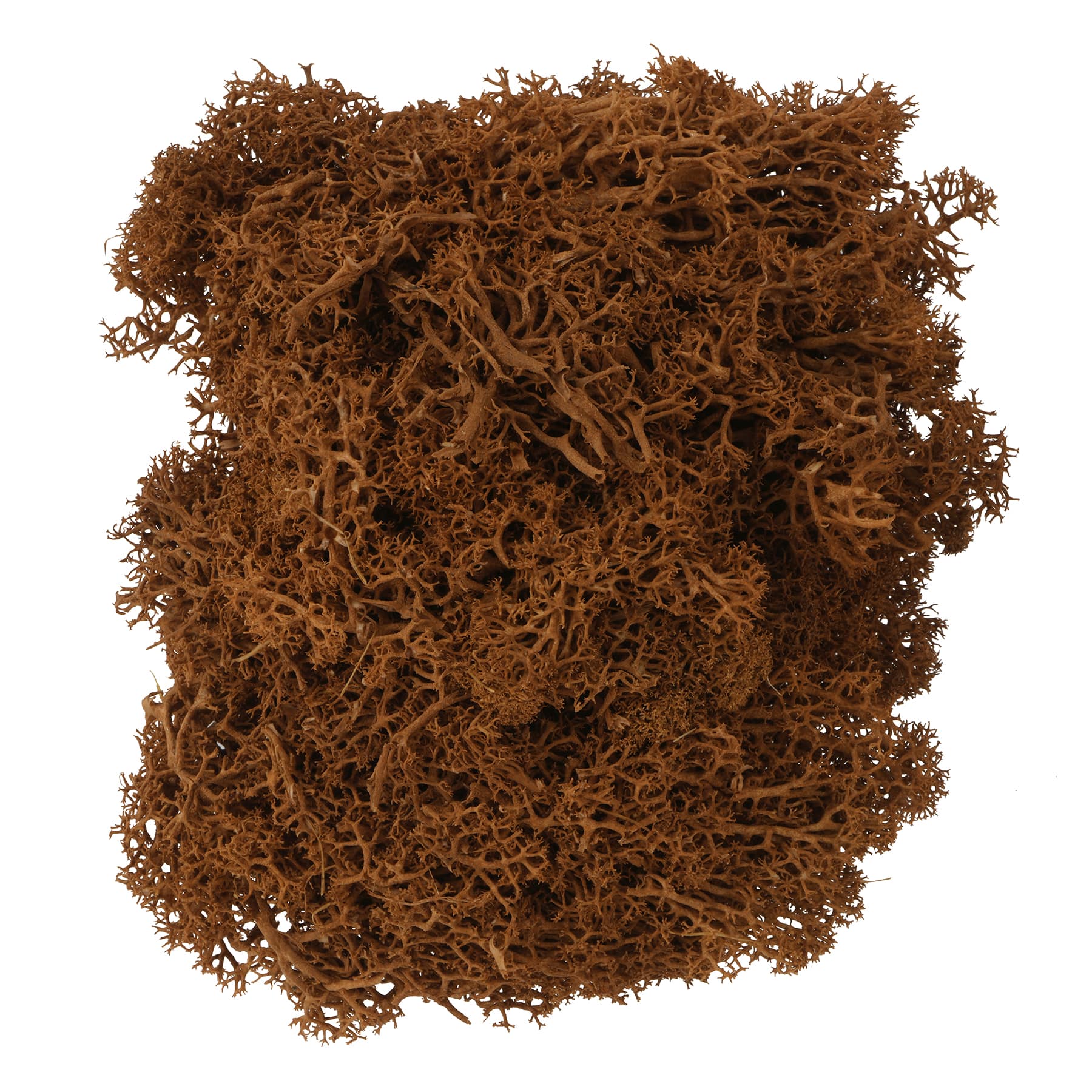 1.75oz. Moss by Ashland&#xAE;