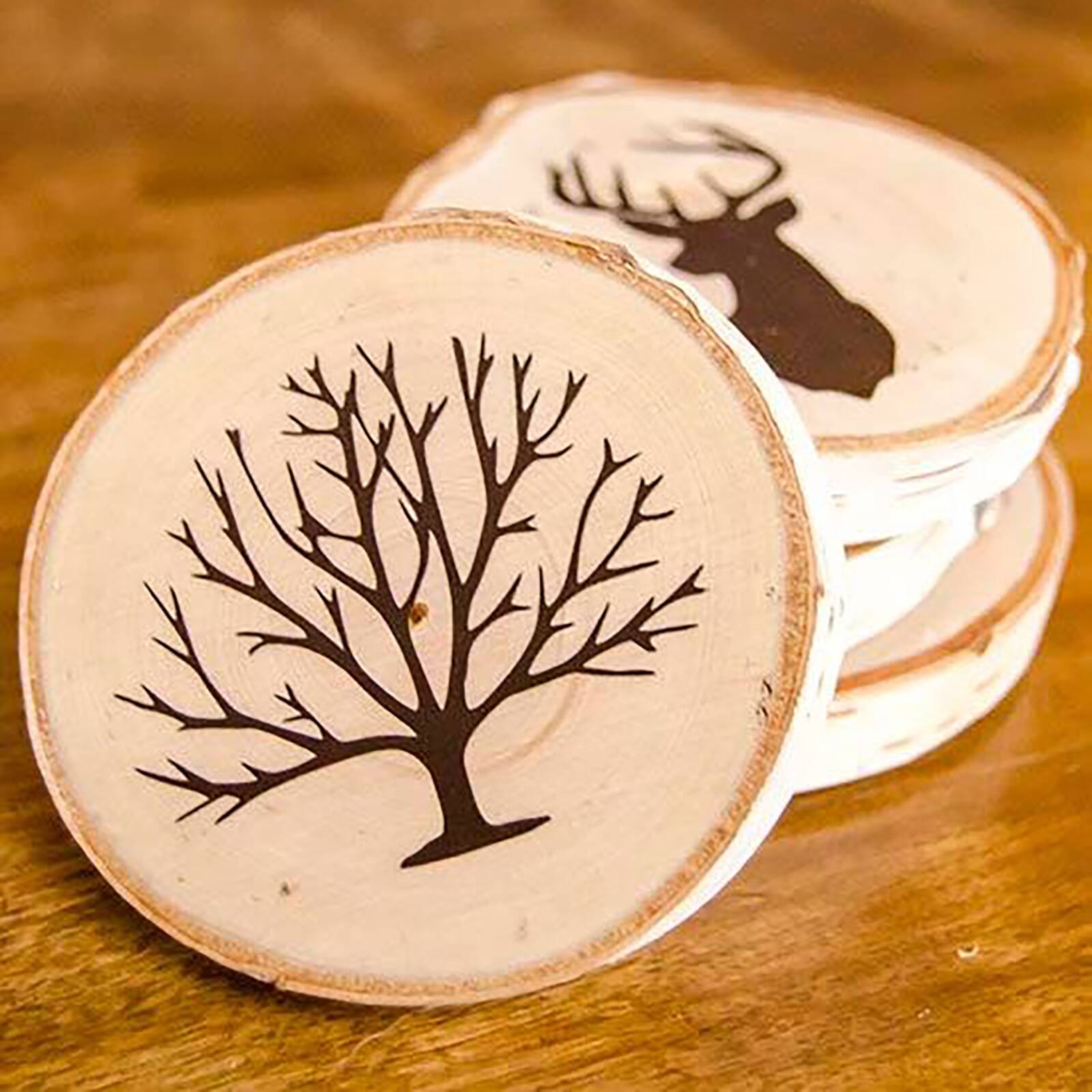 Wilson&#xAE; Enterprises Birch Coasters, 8ct.