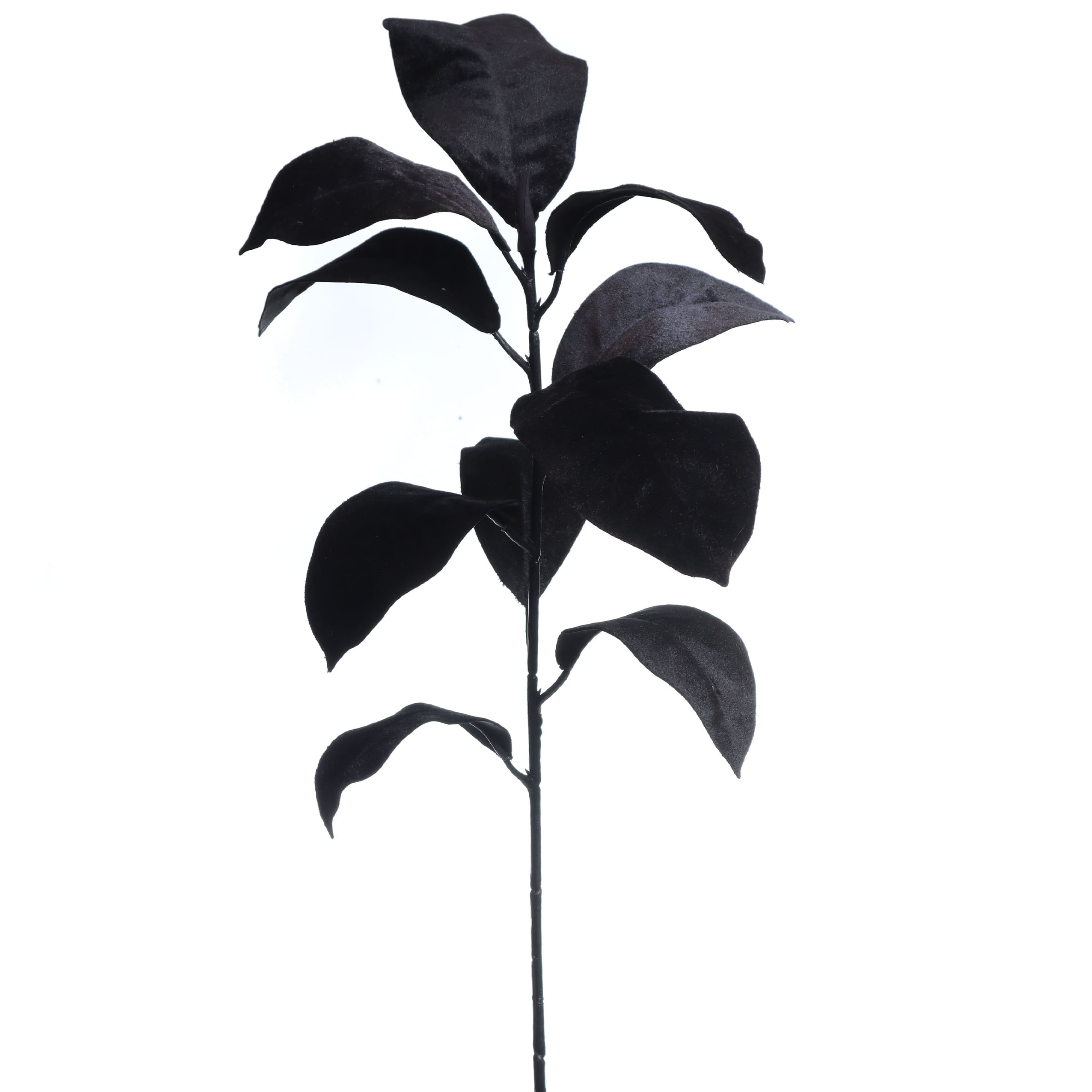 31.5&#x22; Black Magnolia Leaves Stem by Ashland&#xAE;