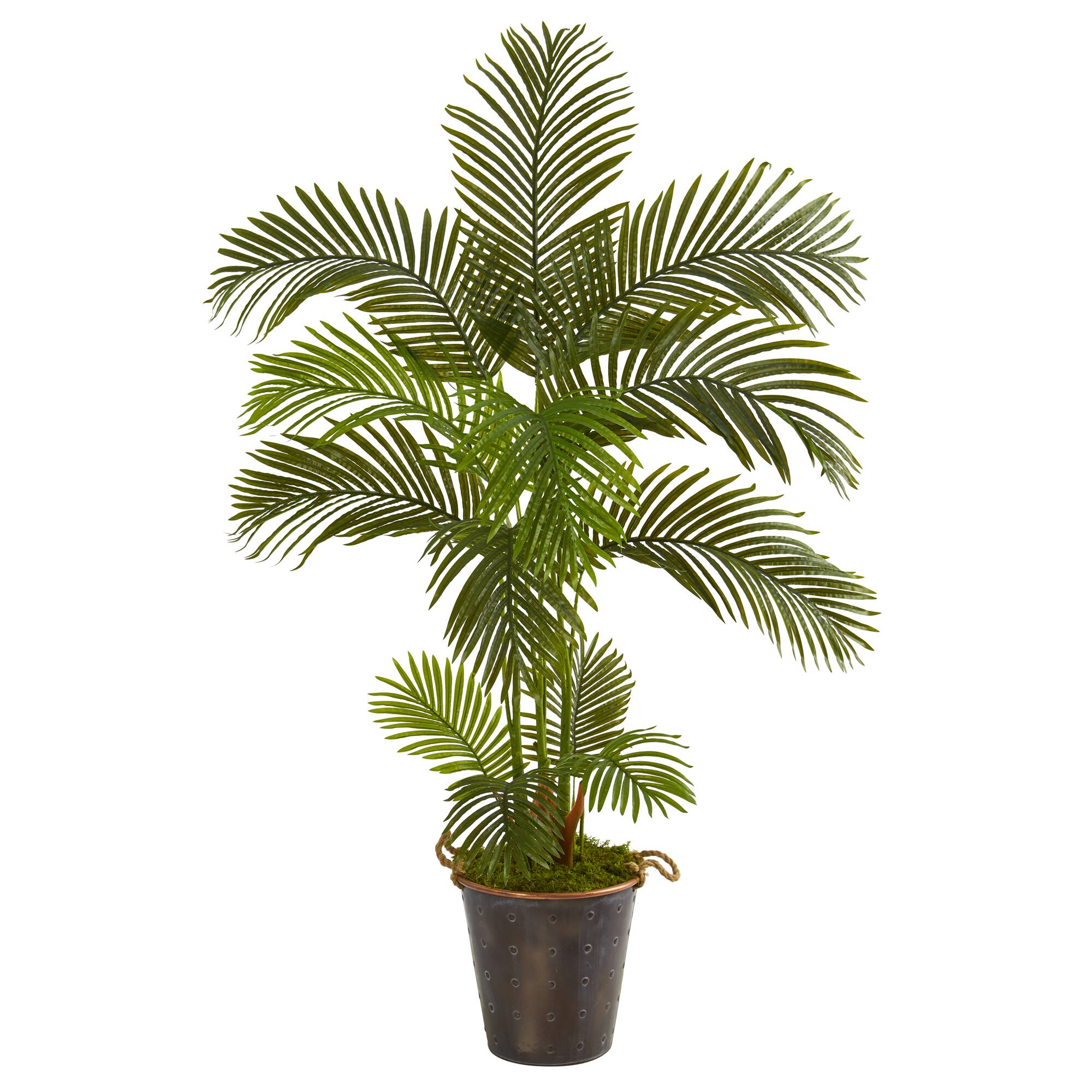 5ft. Areca Palm Tree in Decorative Metal Pail