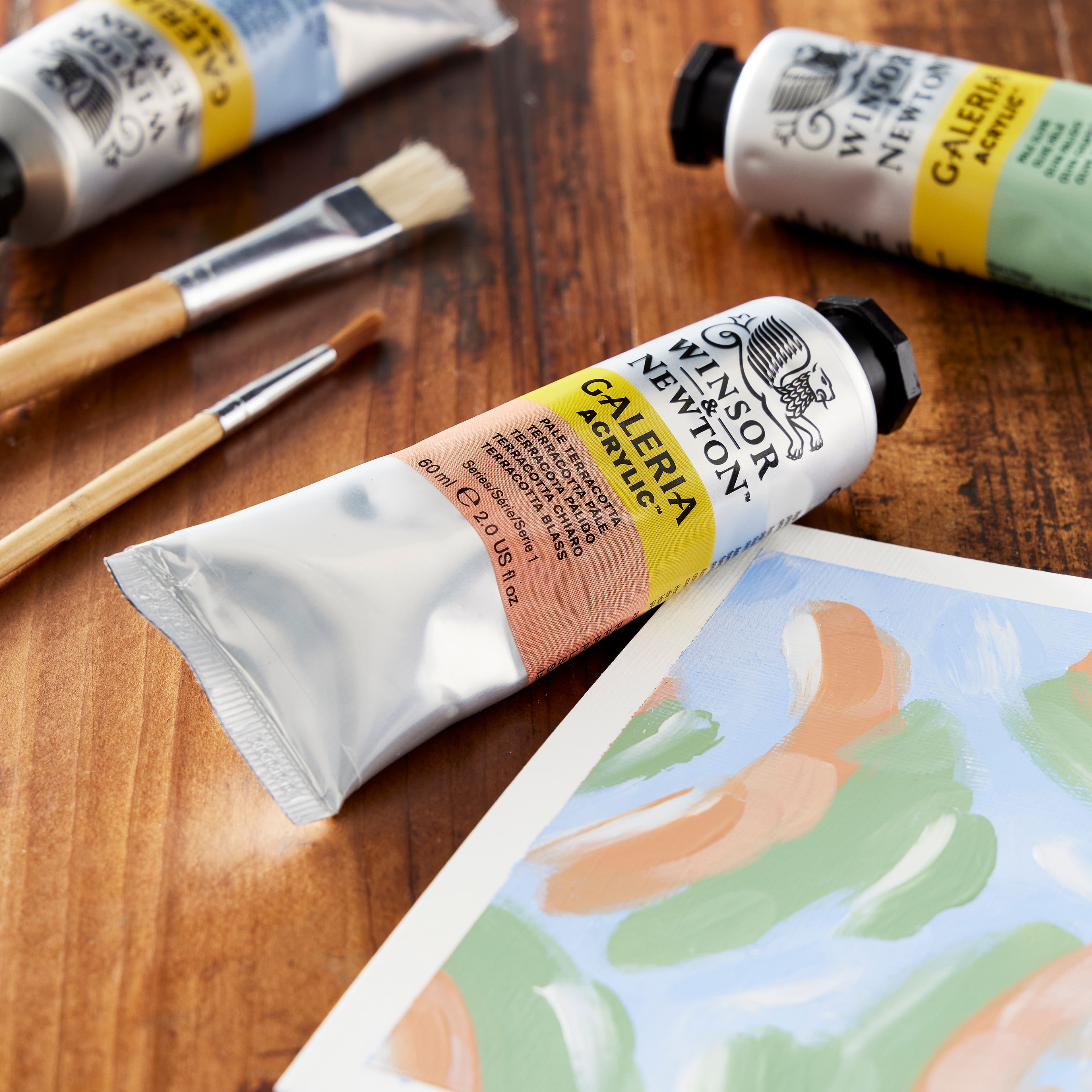 Winsor &#x26; Newton&#x2122; Galeria Acrylic&#x2122;, 60mL