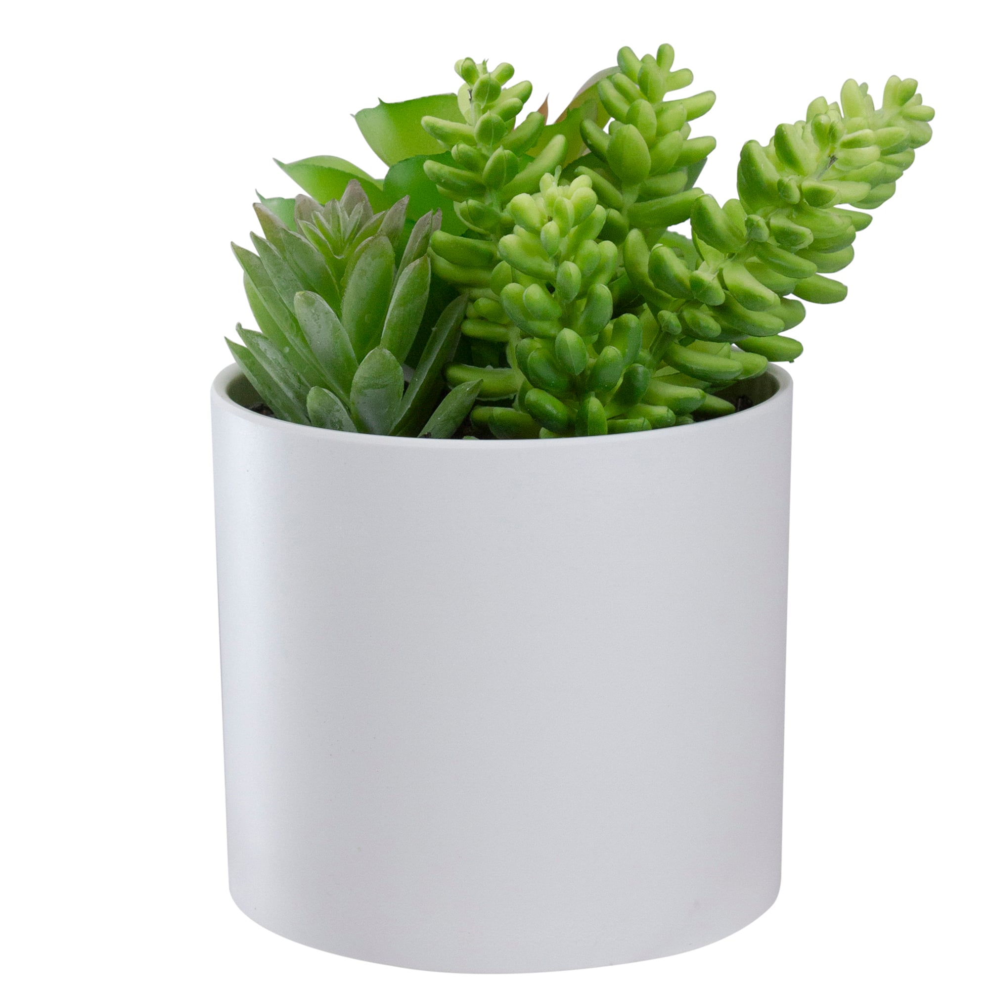 5.5&#x22; Mixed Succulent Arrangement in White Pot