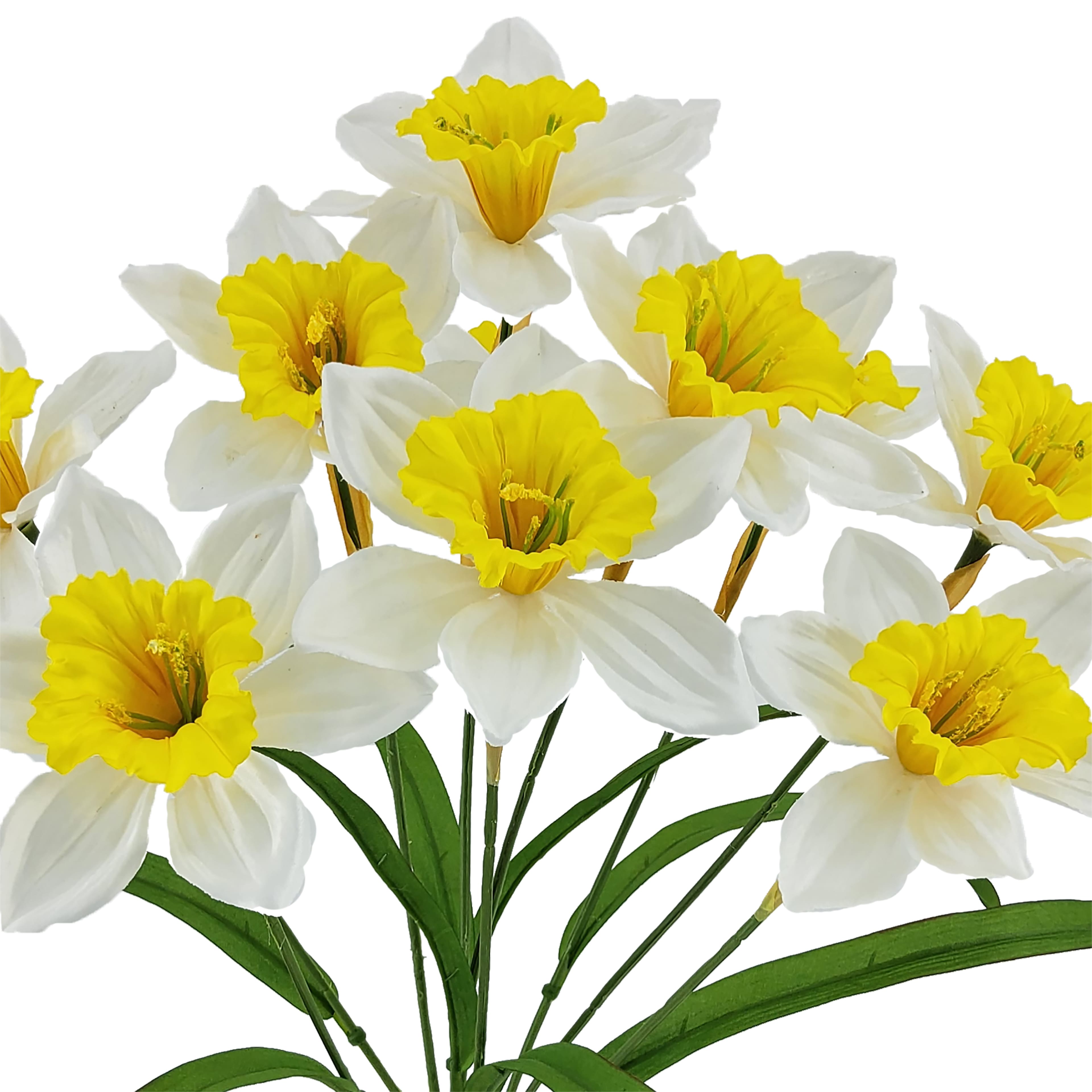 White &#x26; Yellow Daffodil Bush by Ashland&#xAE;