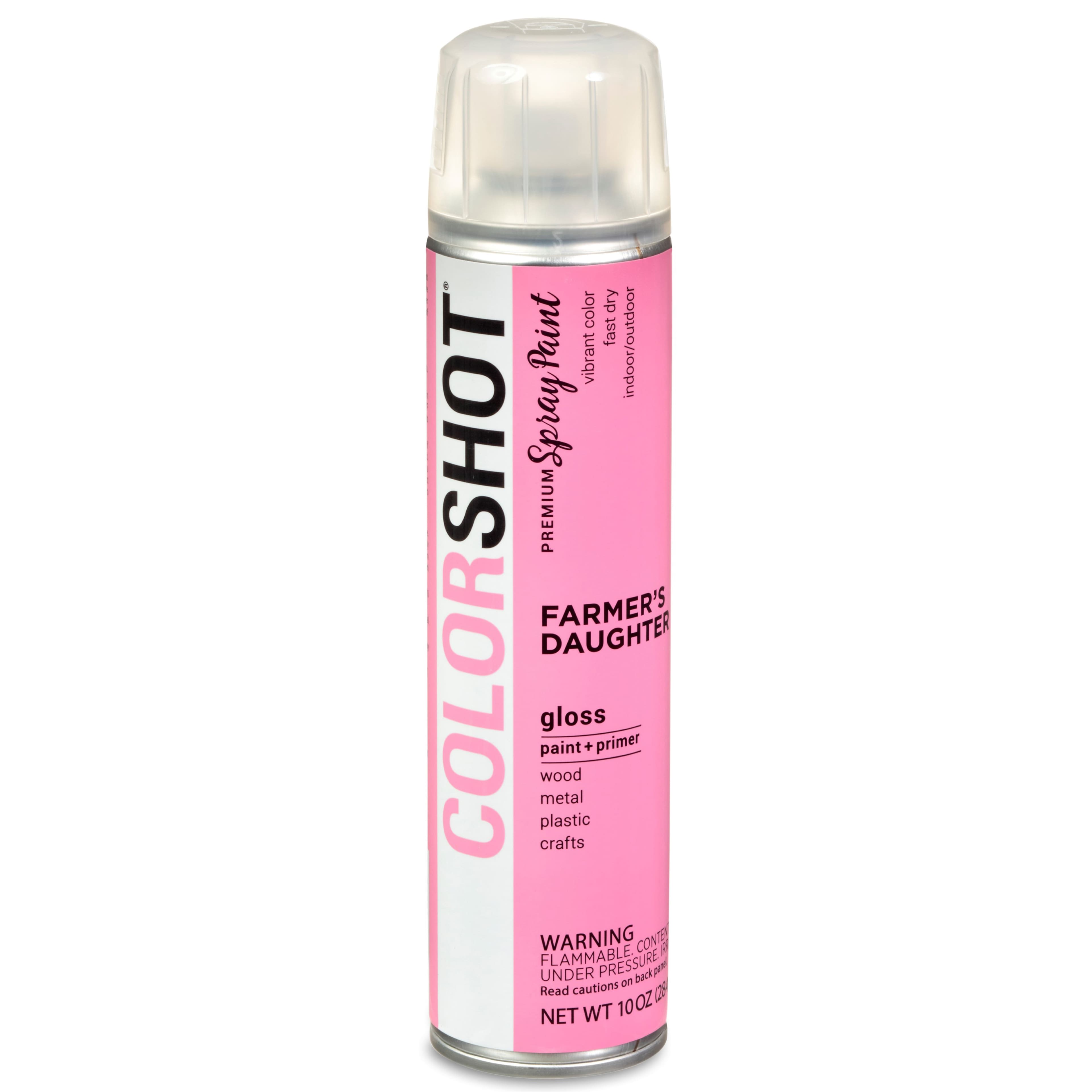 COLORSHOT® Premium Gloss Spray Paint | Michaels