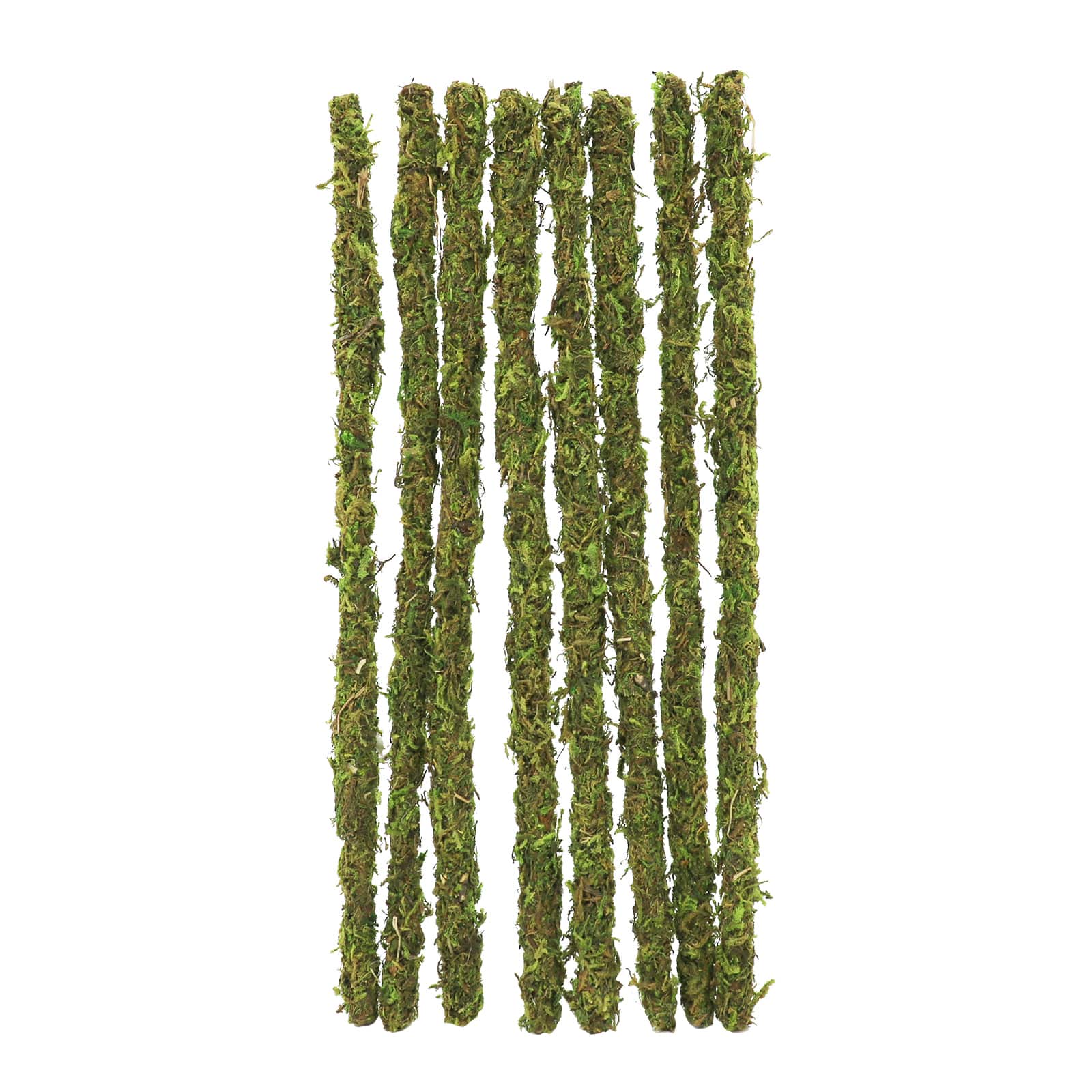 9&#x22; Moss Crafting Stems by Ashland&#xAE;, 8ct.