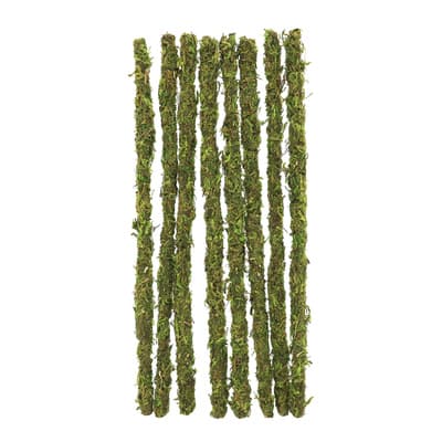 9" Moss Crafting Stems by Ashland®, 8ct. image
