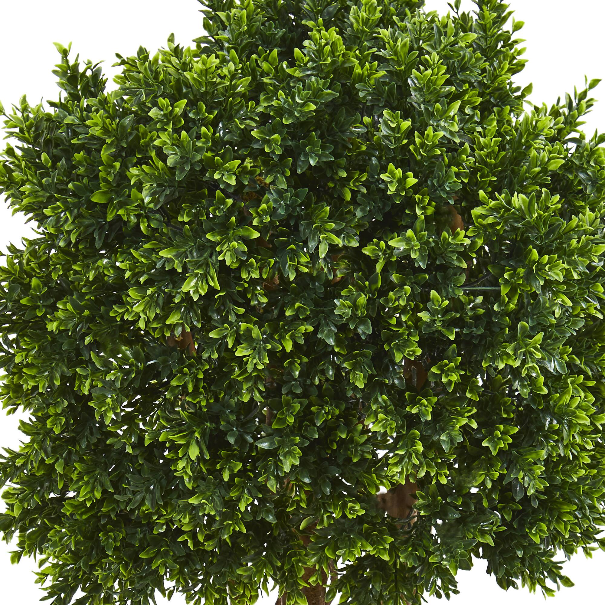 3.8ft. Potted Boxwood Topiary Tree